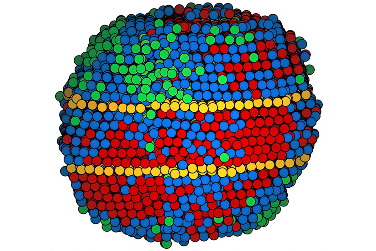 Atomic-Map-High-Entropy-Alloy-Nanoparticle.jpg