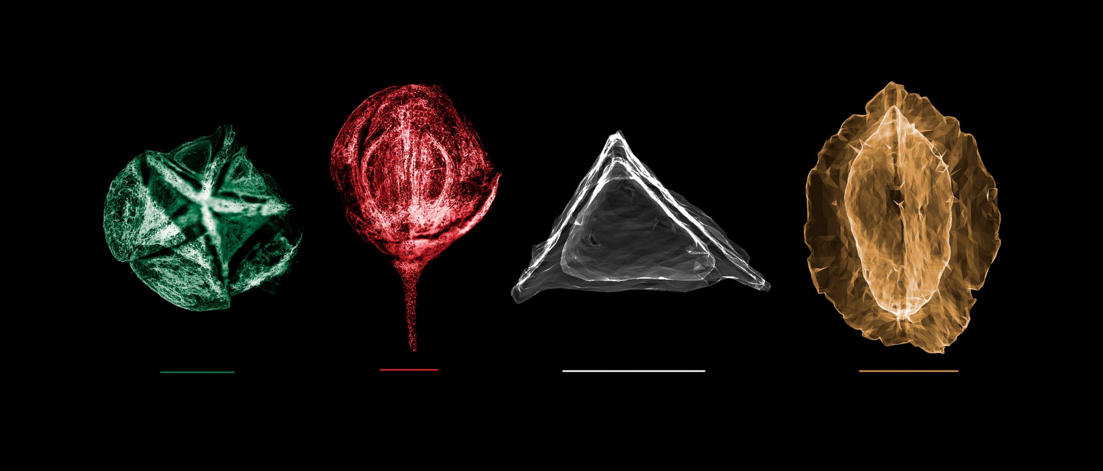 Frankincense-Fossils.jpg