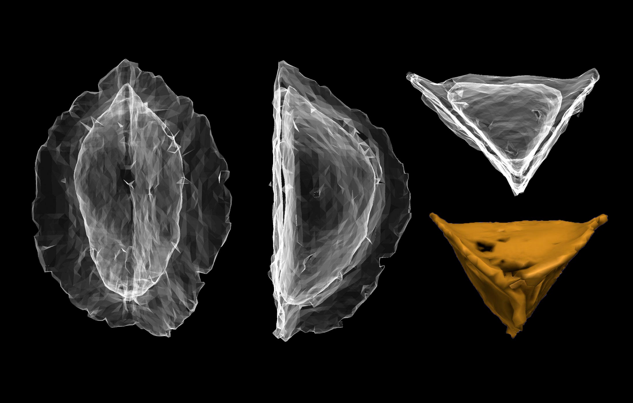 Pyrenes-Woody-Structures.jpg