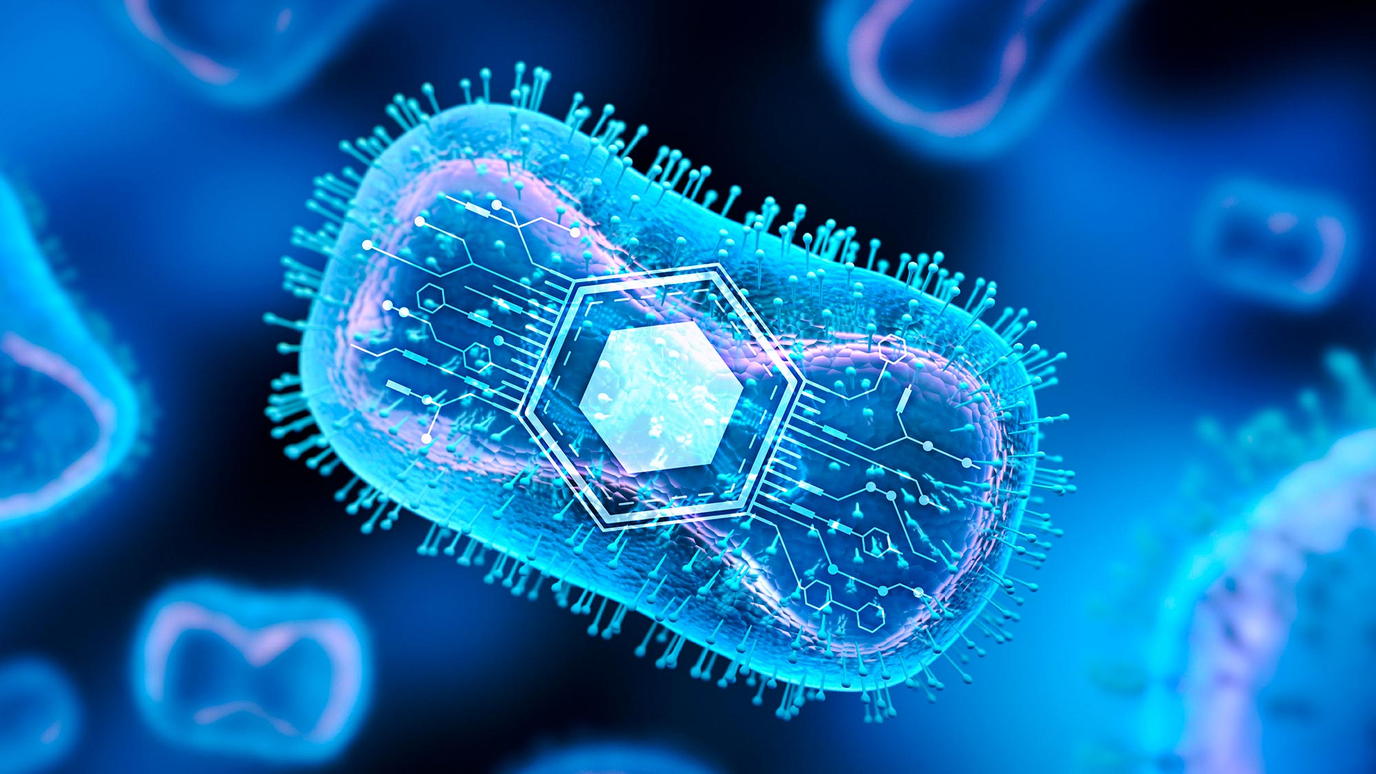 Synthetic-Programmable-Bacteria.jpg