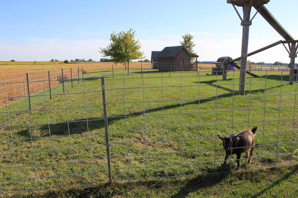 creuziger-farms.jpg