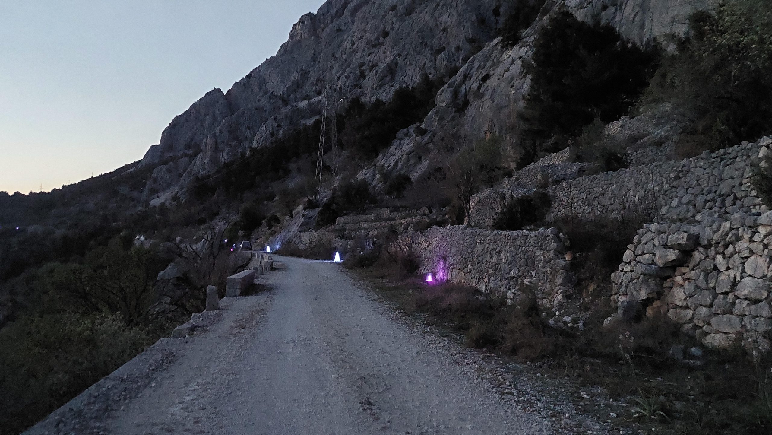 Light-Traps-Are-Set-in-Podgora-Croatia-scaled.jpg