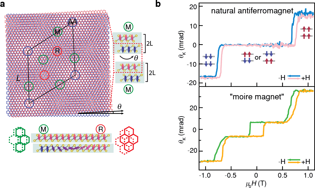 Moire-Superlattice-Structure-of-Twisted-Double-Bilayer-CrI3.png