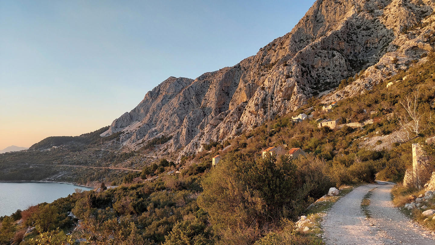 Habitat-of-Mirlatia-arcuata-in-Podgora-Croatia.jpg