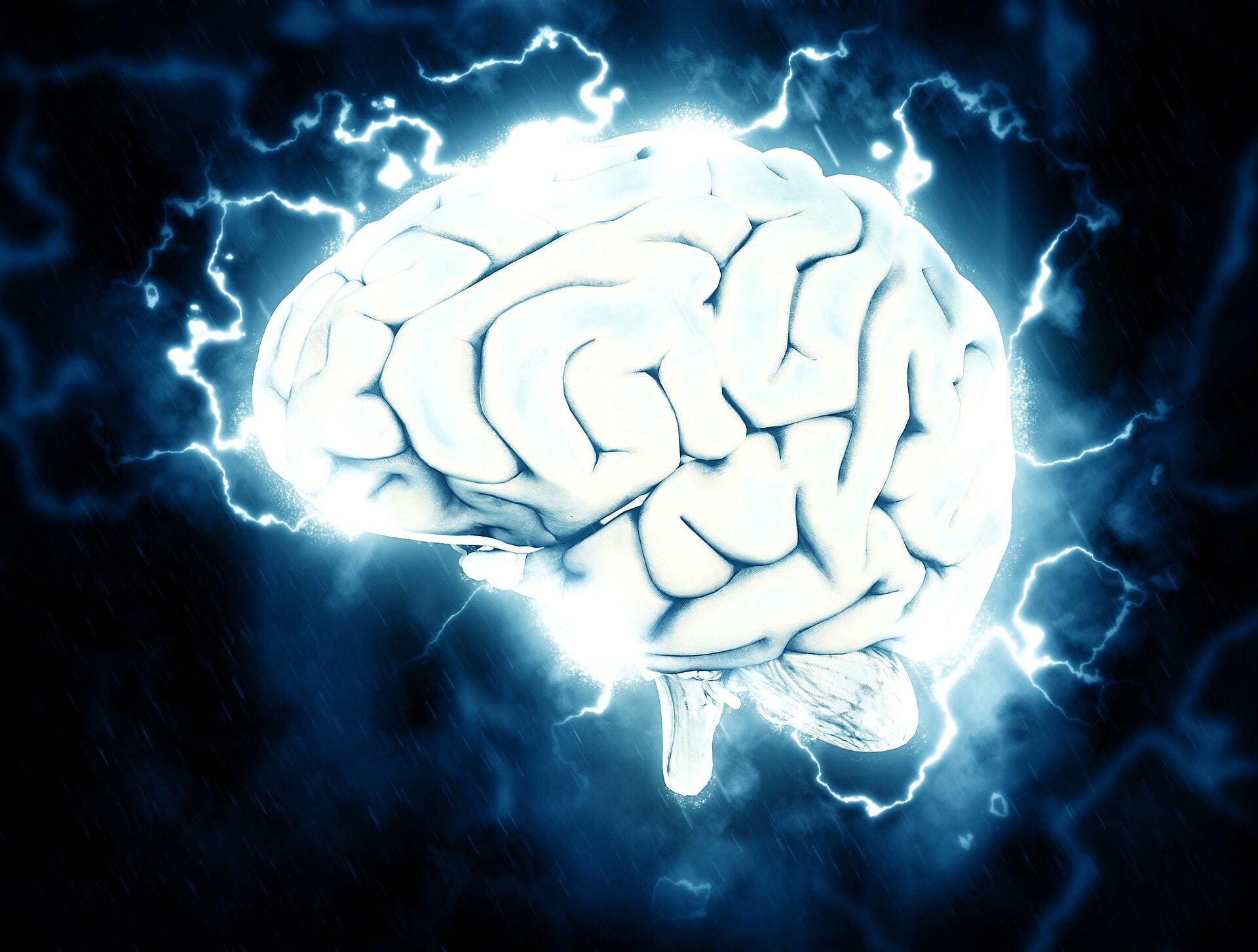brain-1.jpg