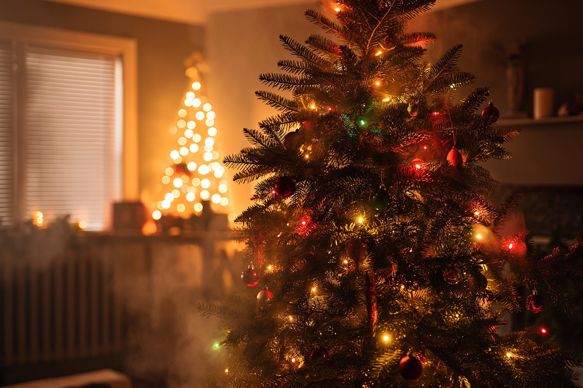Christmas-Tree-Chemical-Pollution.jpg