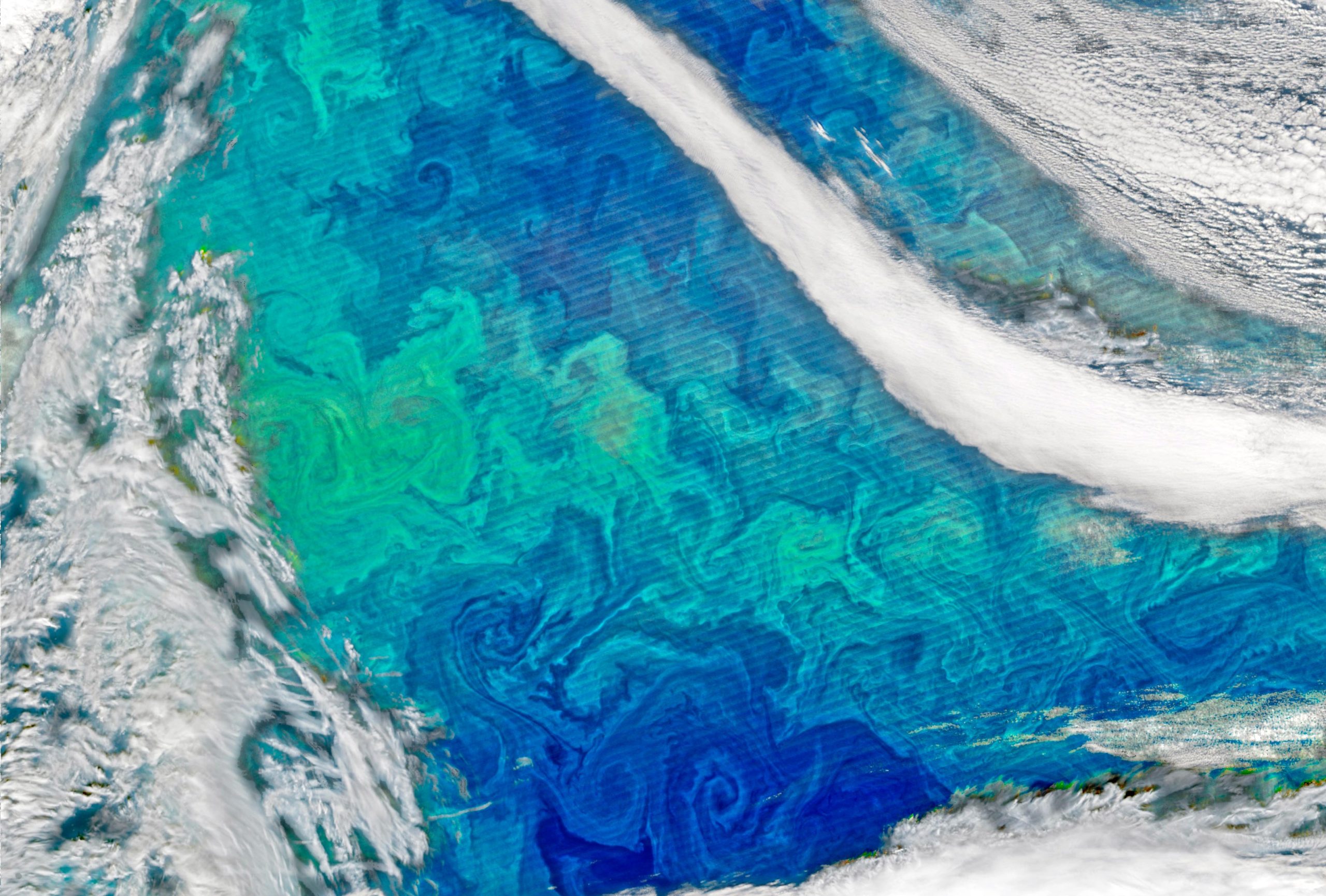North-Atlantic-Phytoplankton-Bloom-scaled.jpg