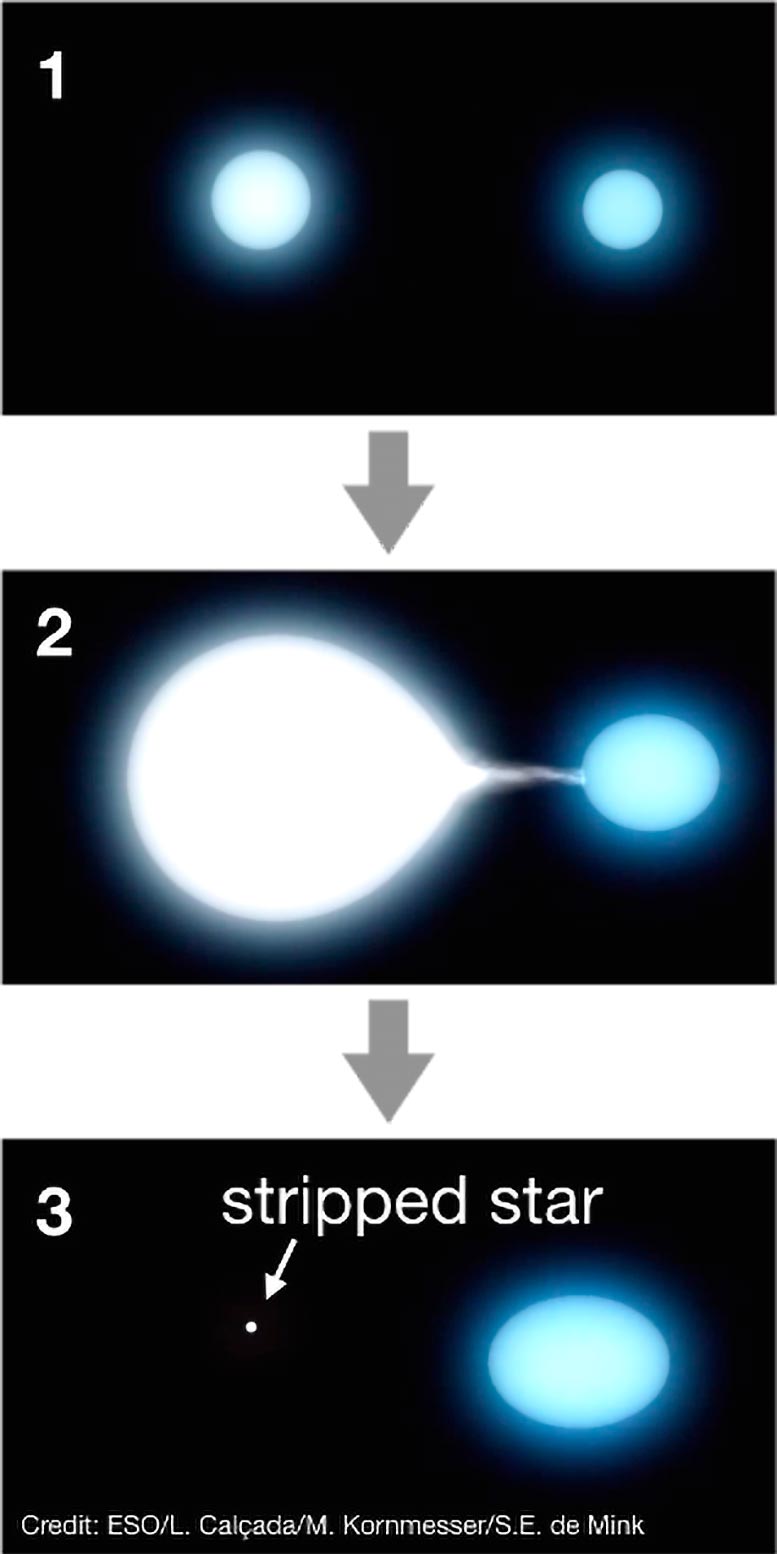 Star-Being-Stripped-by-Binary-Companion.jpg