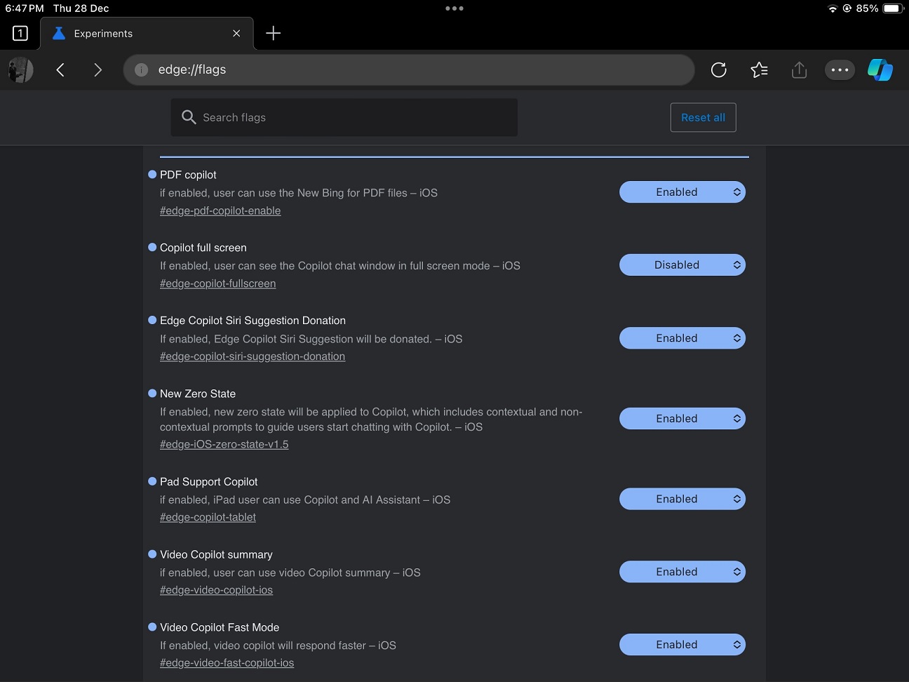 Microsoft-Copilot-flags-on-iOS.jpg