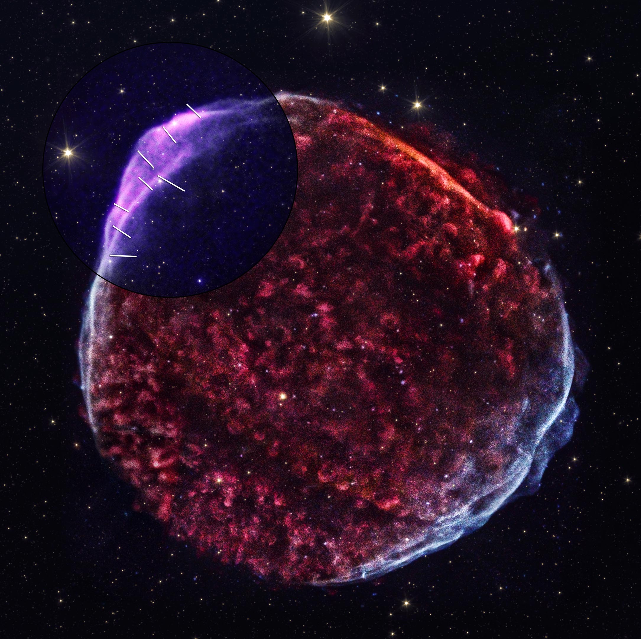 SN-1006-IXPE-Chandra-Composite.jpg