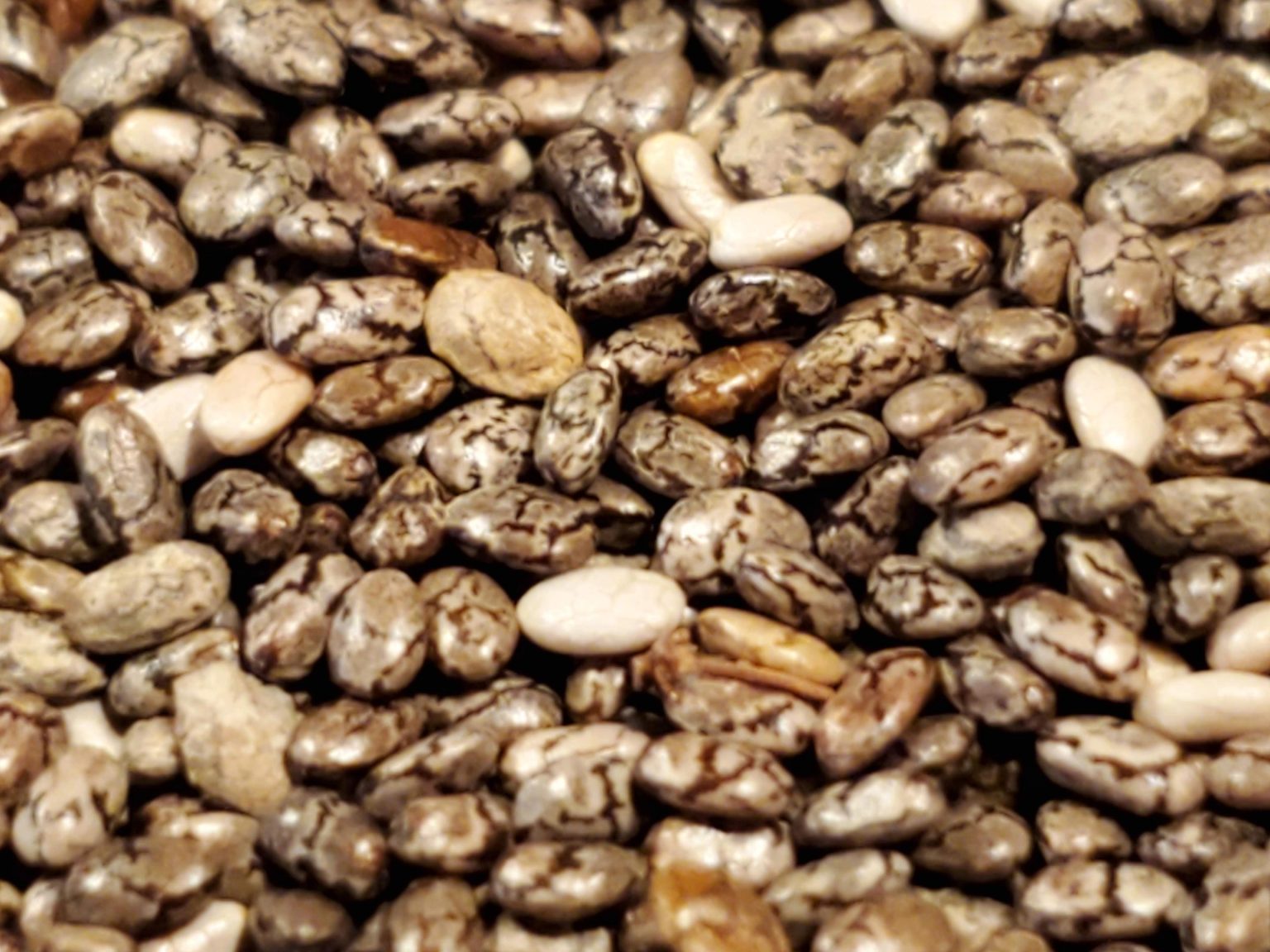 Chia-Seeds-Close-Up-1536x1152.jpg