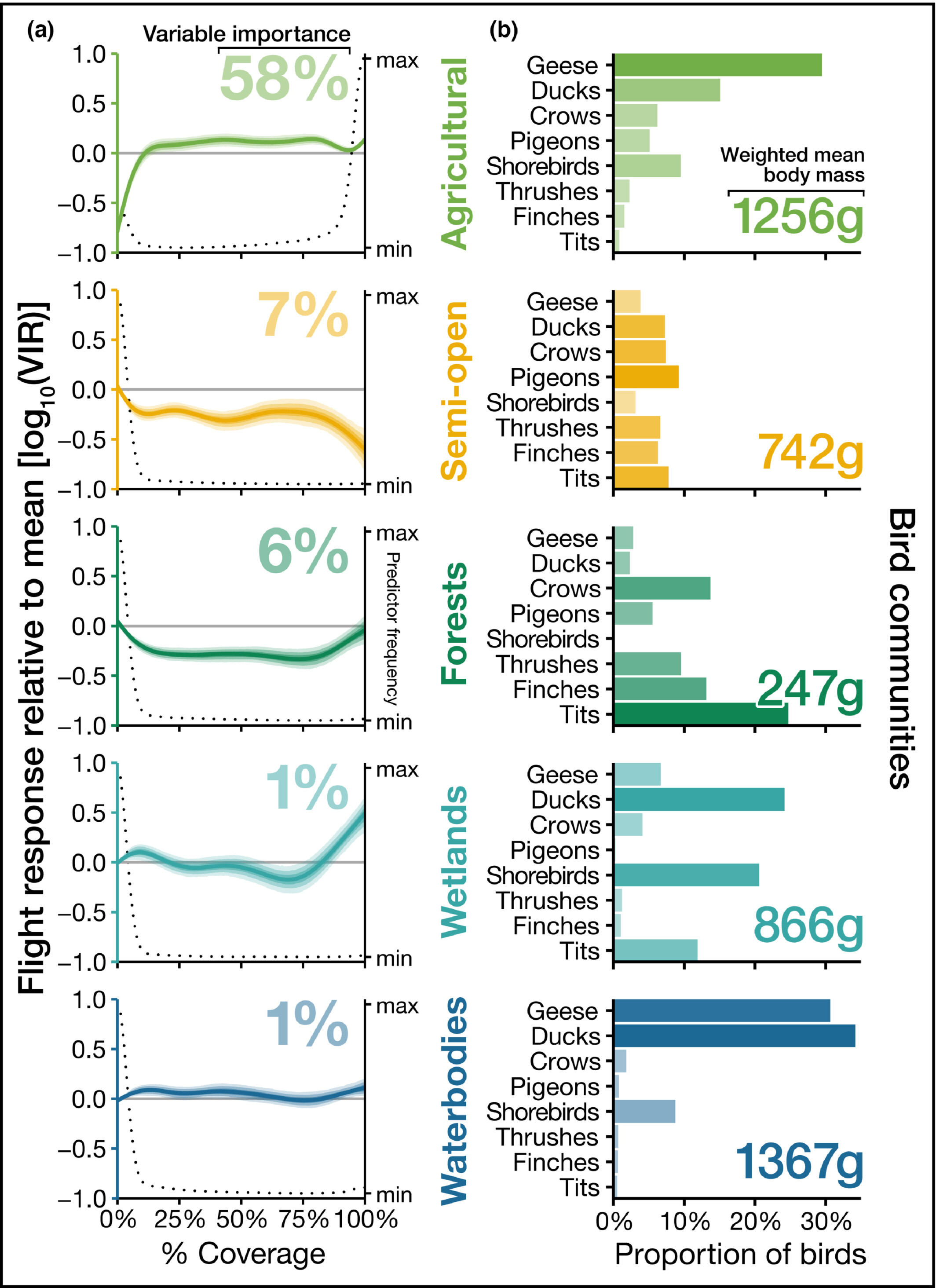 fee2694-fig-0003-m.jpg