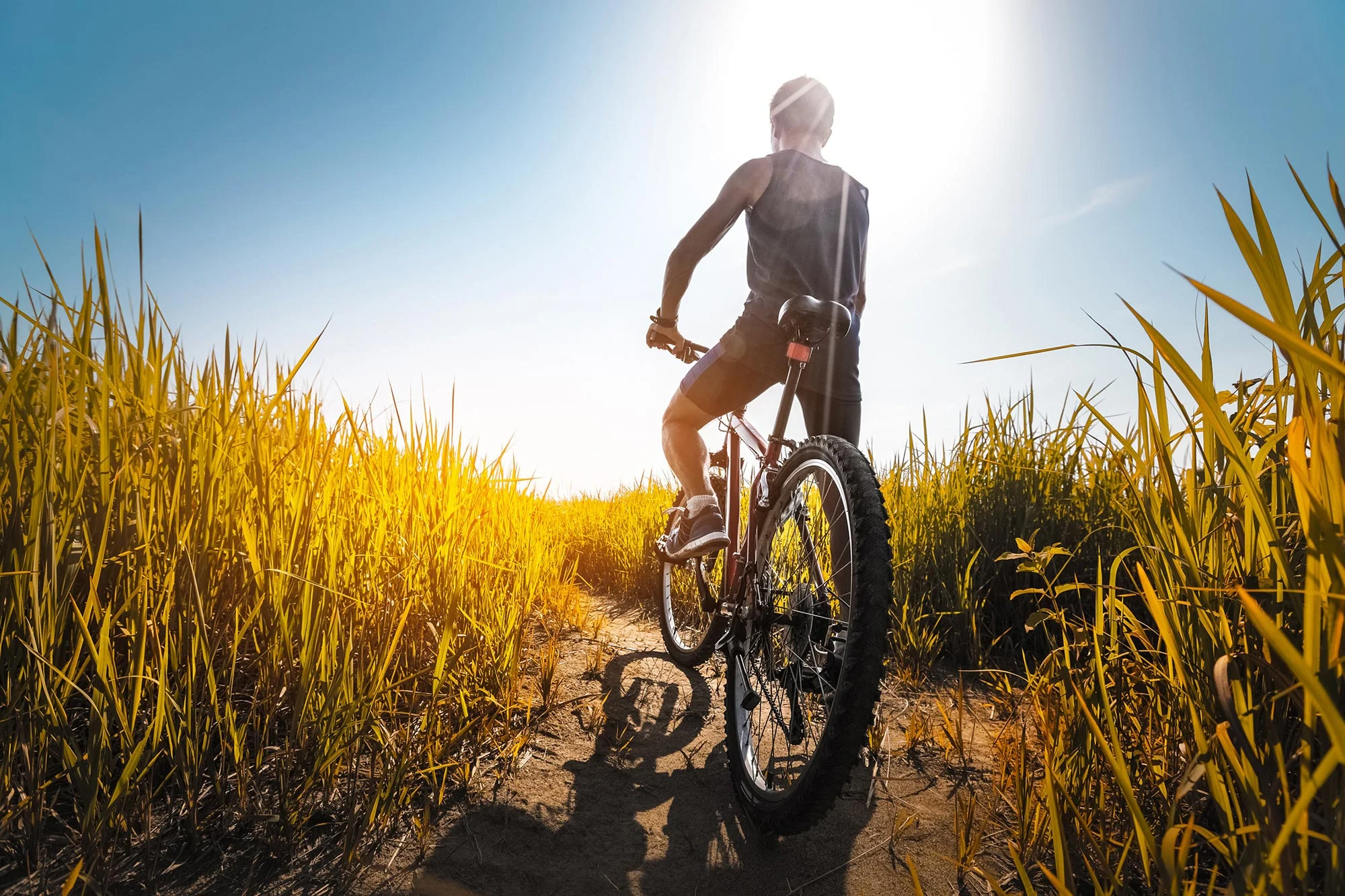 Cycling-Endurance-Athlete.webp
