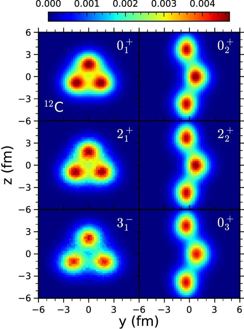Nucleon-Densities-Low-Lying-States-Carbon-12（JPEG 图像，777x1046 像素）.jpg