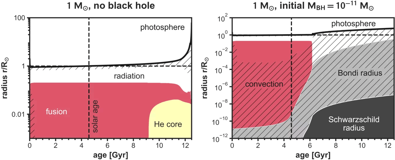 Radial-Evolution-Star-With-Black-Hole.png