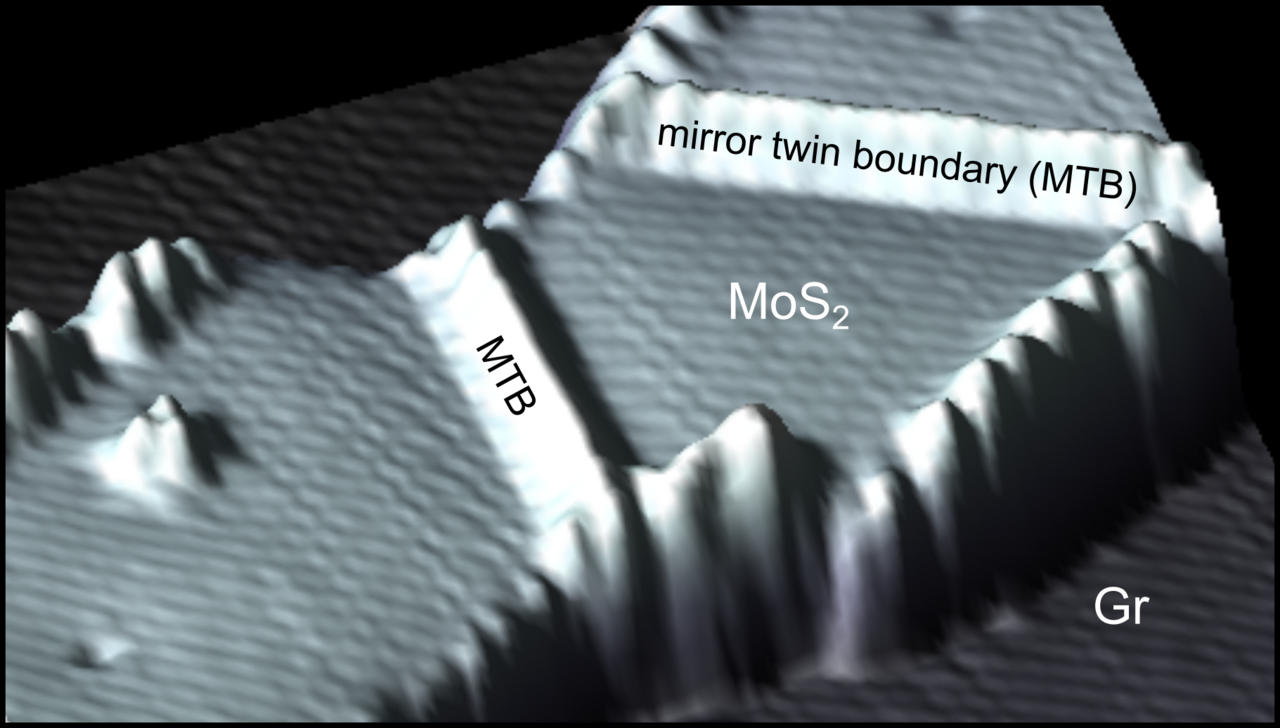 d462bf54-6356-4a6a-a2da-ed68d29a09d2_large.png