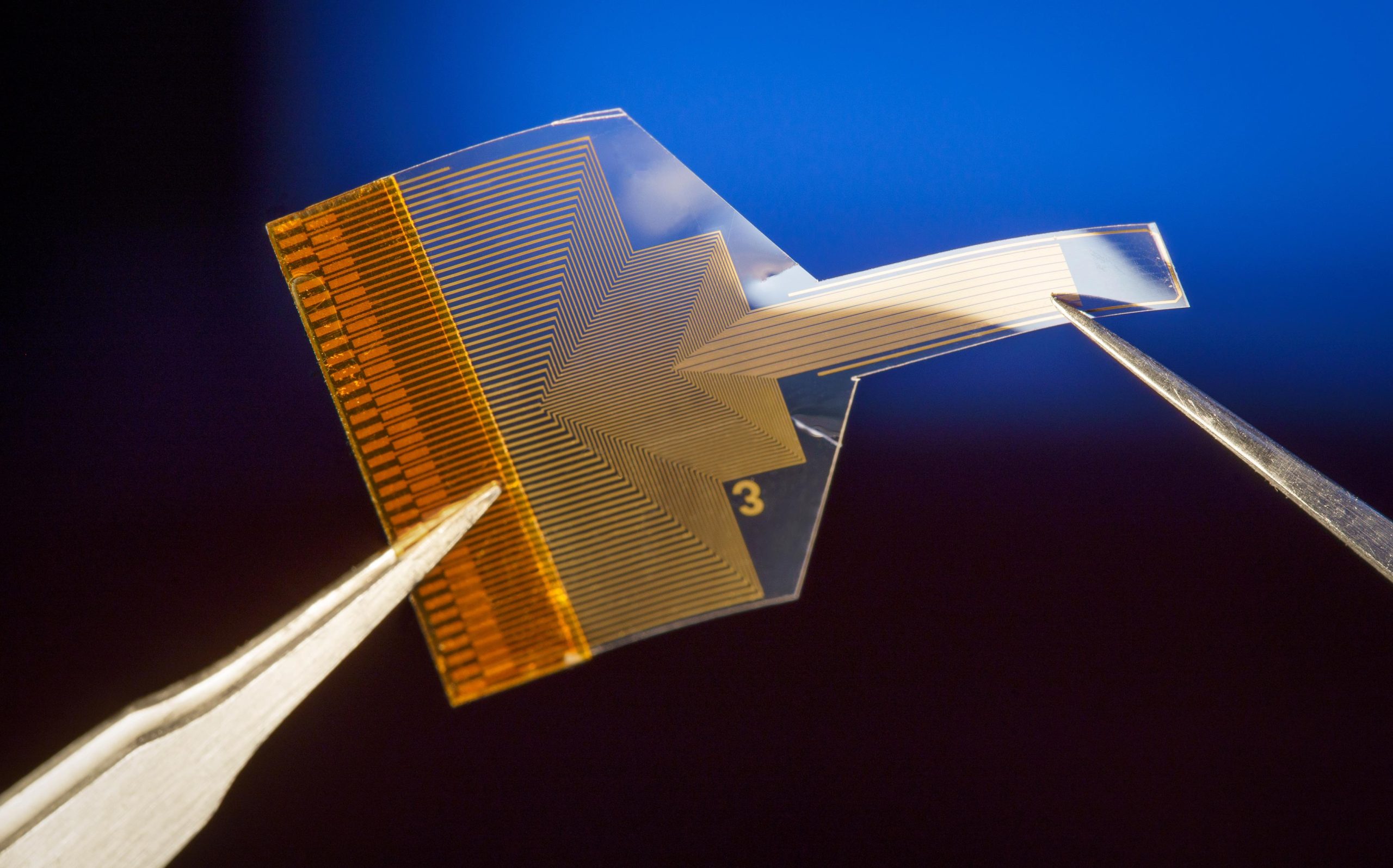 Transparent-Flexible-Brain-Implant-scaled.jpg
