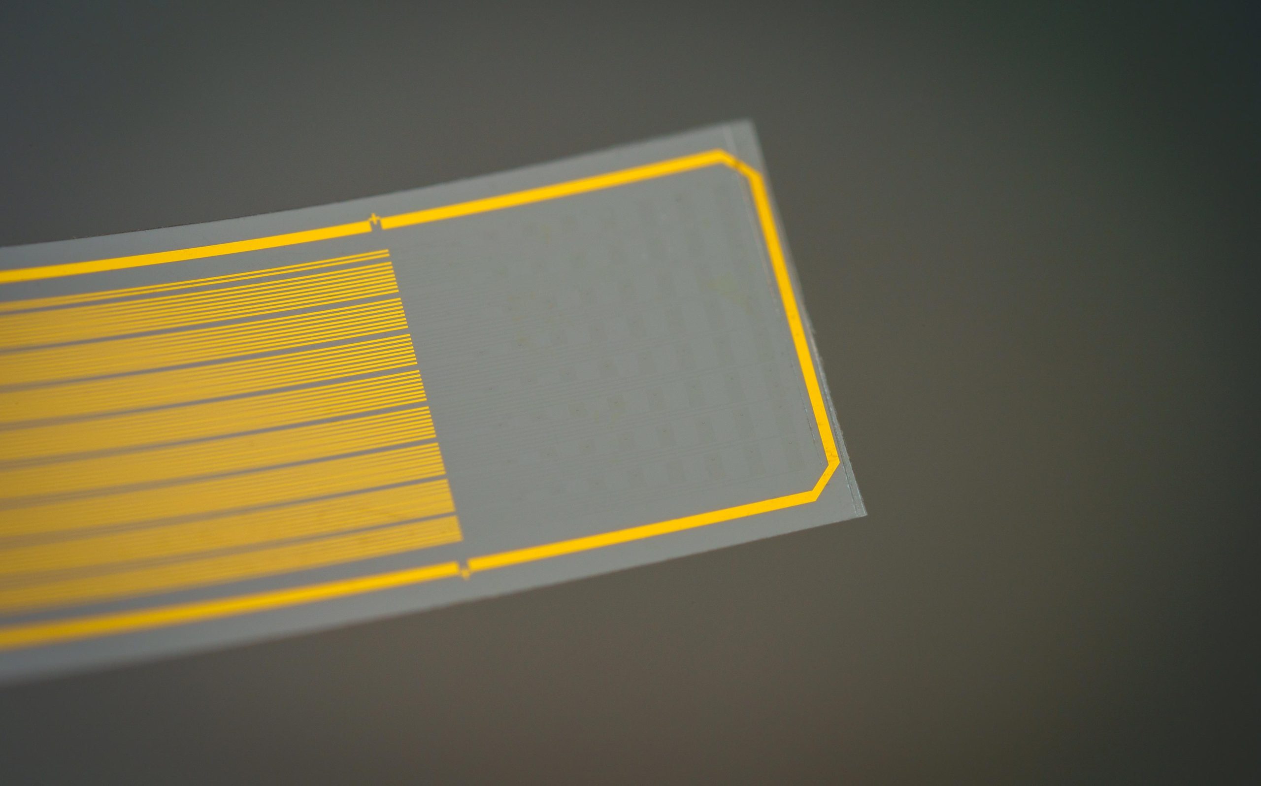 Transparent-Flexible-Brain-Implant-Electrode-Array-scaled.jpg