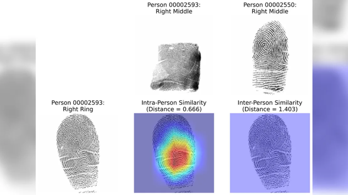 fingerprints-study.webp