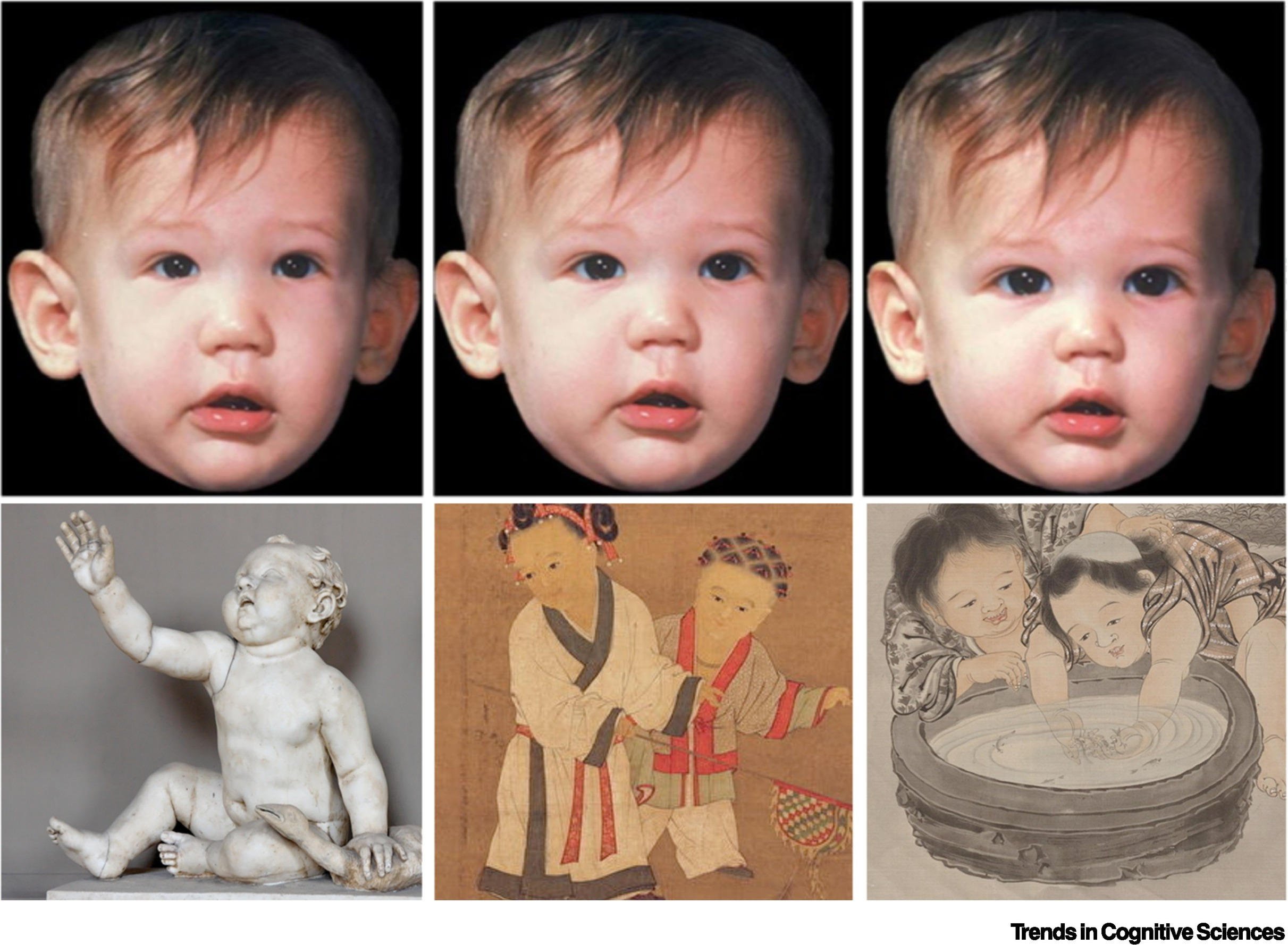 Juvenility-in-Baby-Faces-and-in-Historical-Artwork.jpg