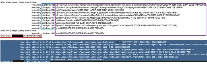 iphone.webp