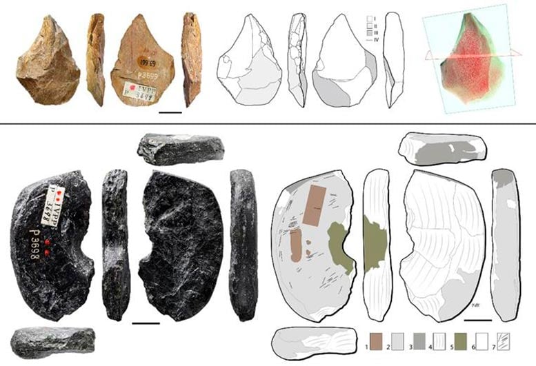 Graphite-Disc-and-Bone-Tool.jpg