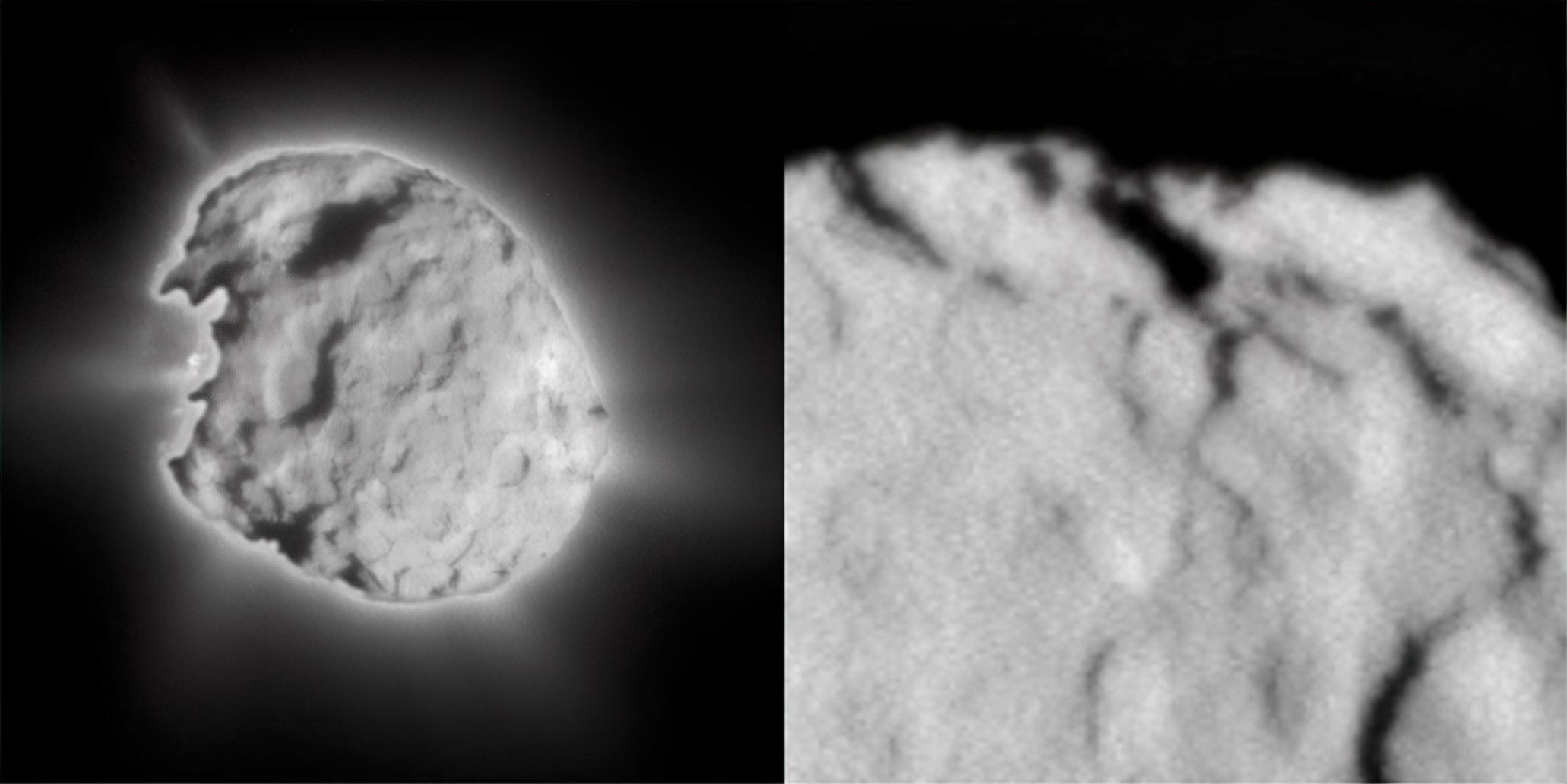 Comet-Wild-2.jpg