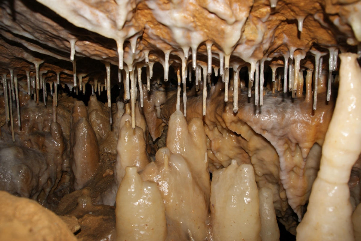 Kleine-Teufelshohle-Stalagmites.jpg