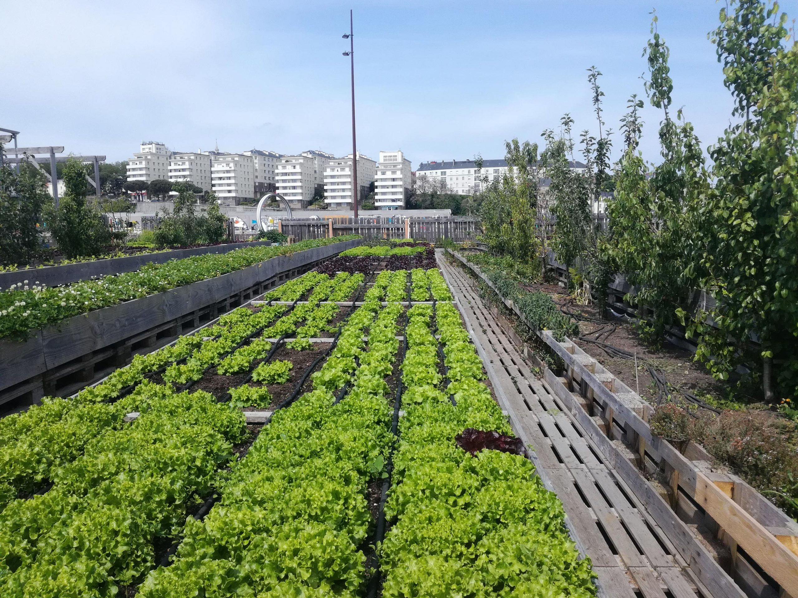 Urban-Garden-Nantes-France-scaled_jpg（JPEG 图像，2560x1920 像素） — 缩放 (46-_92.jpg