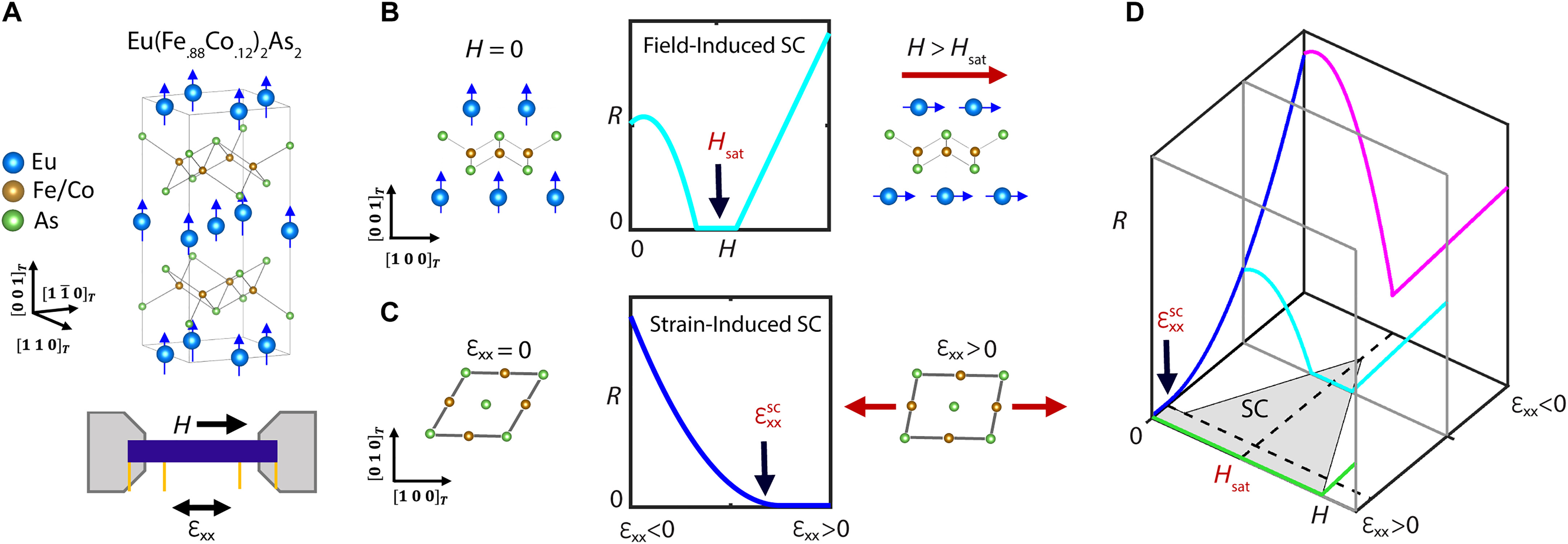 sciadv.adj5200-f1.jpg
