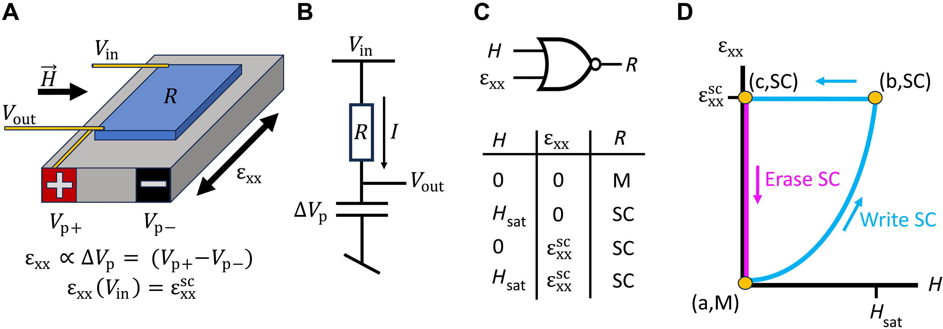 sciadv.adj5200-f6.jpg