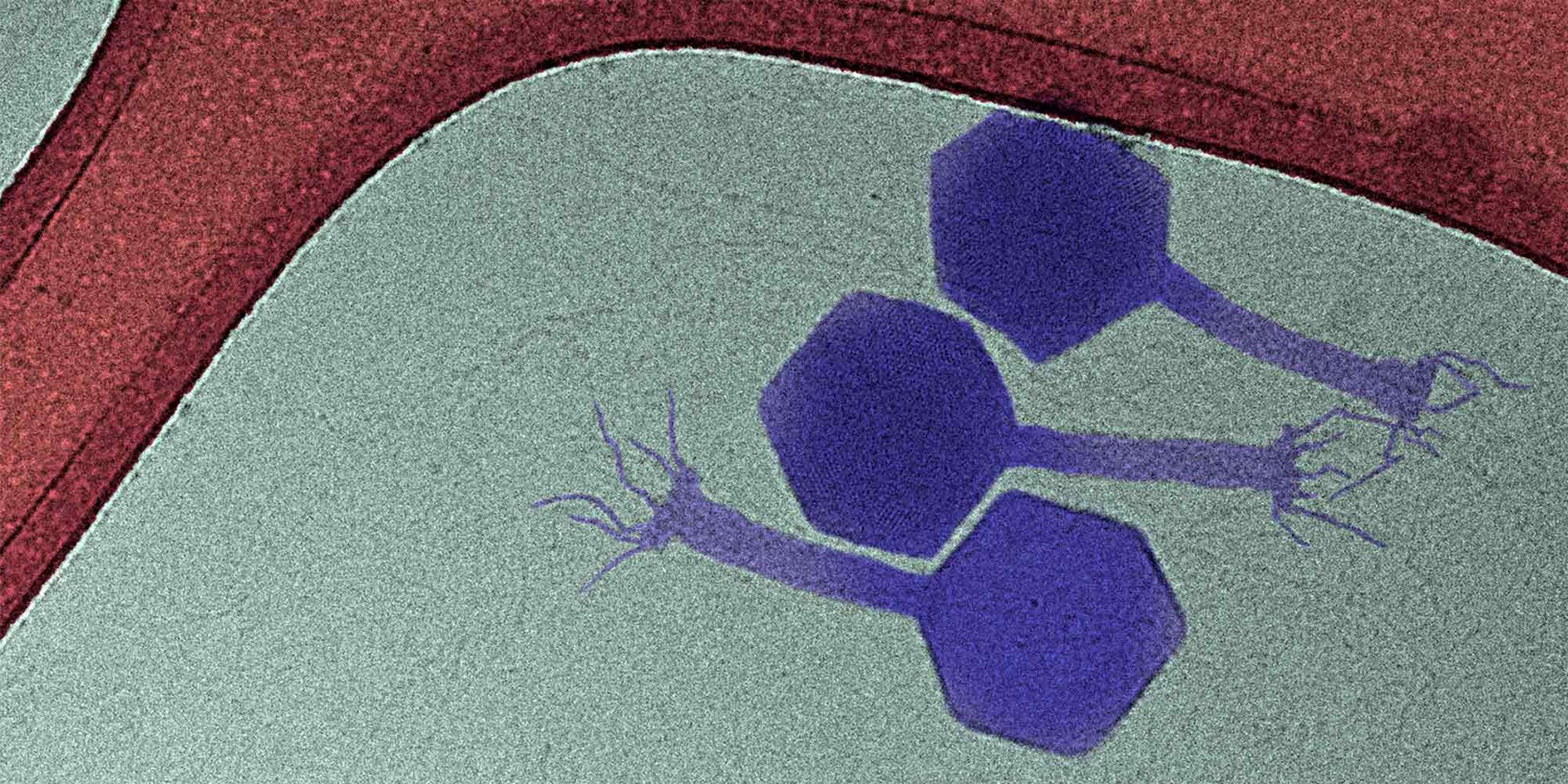 eMh1raC-.jpg