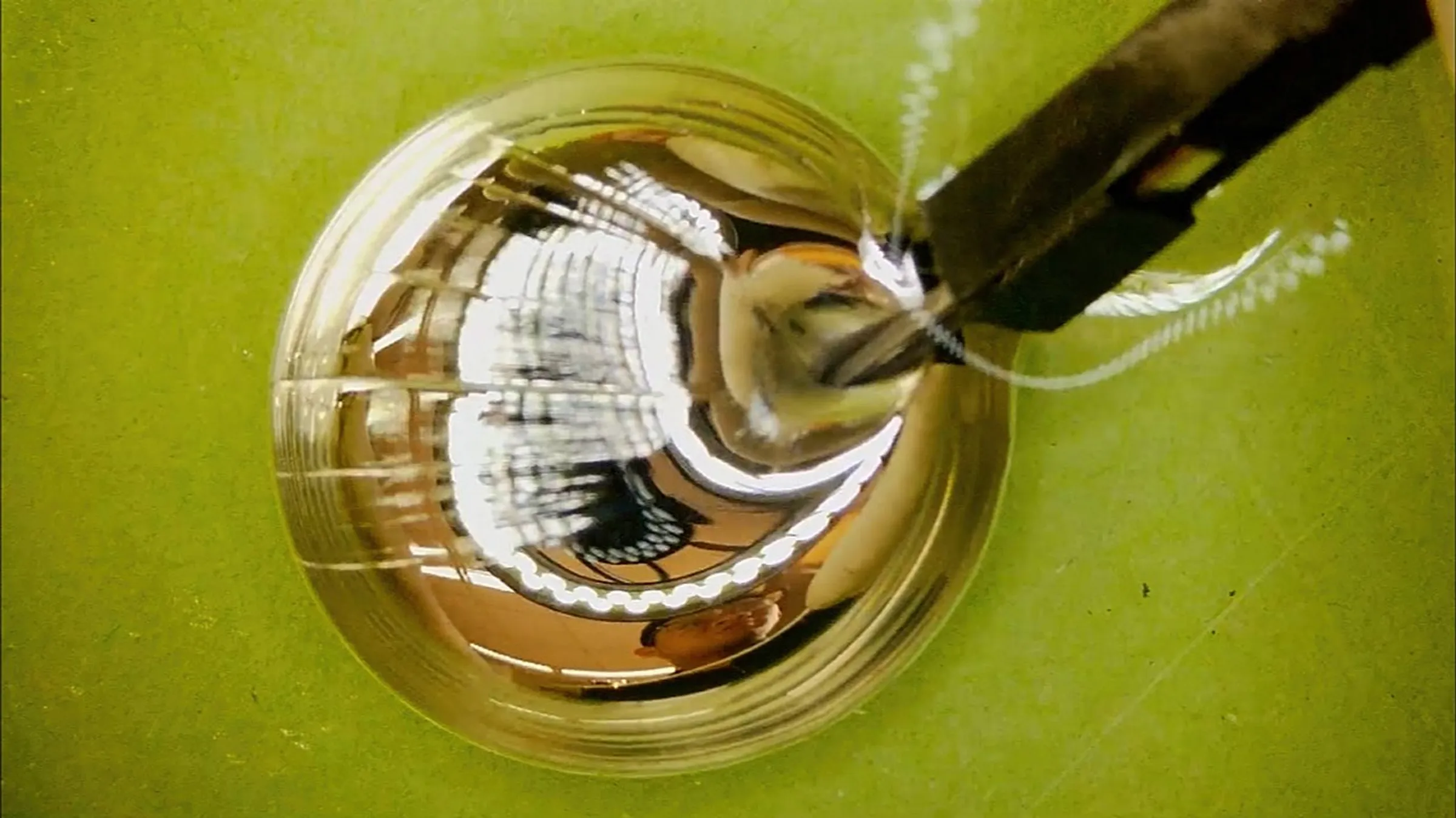 a-gold-reflective-surface-against-a-green-background.webp
