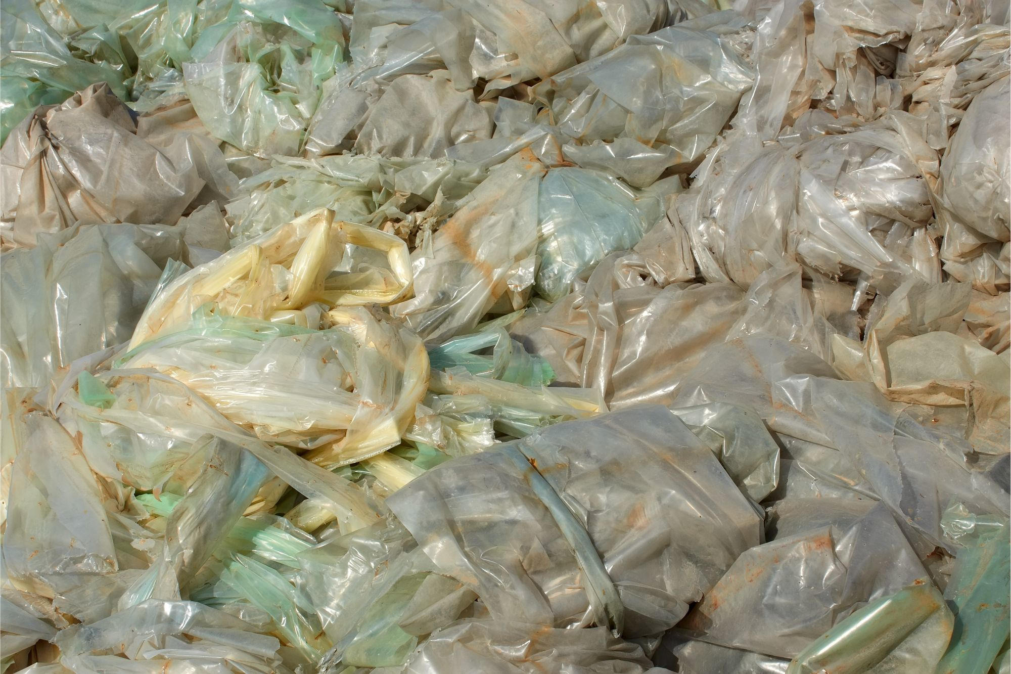 Polyethylene-Films_jpg（JPEG 图像，2000x1333 像素） — 缩放 (67-_92.jpg