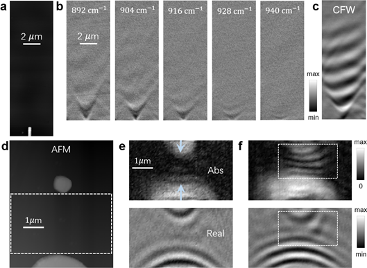Hyperbolic-Phonon-Polariton-and-Elliptical-Phonon-Polariton-Propagation-on-α-MoO3-Film.png