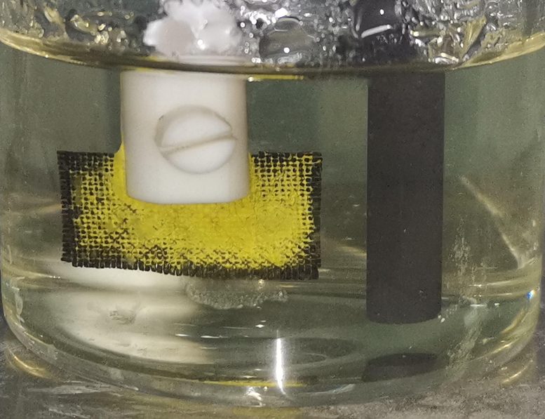 Extracting-Uranium-From-Seawater-As-Another-Source-of-Nuclear-Fuel-777x597.jpg