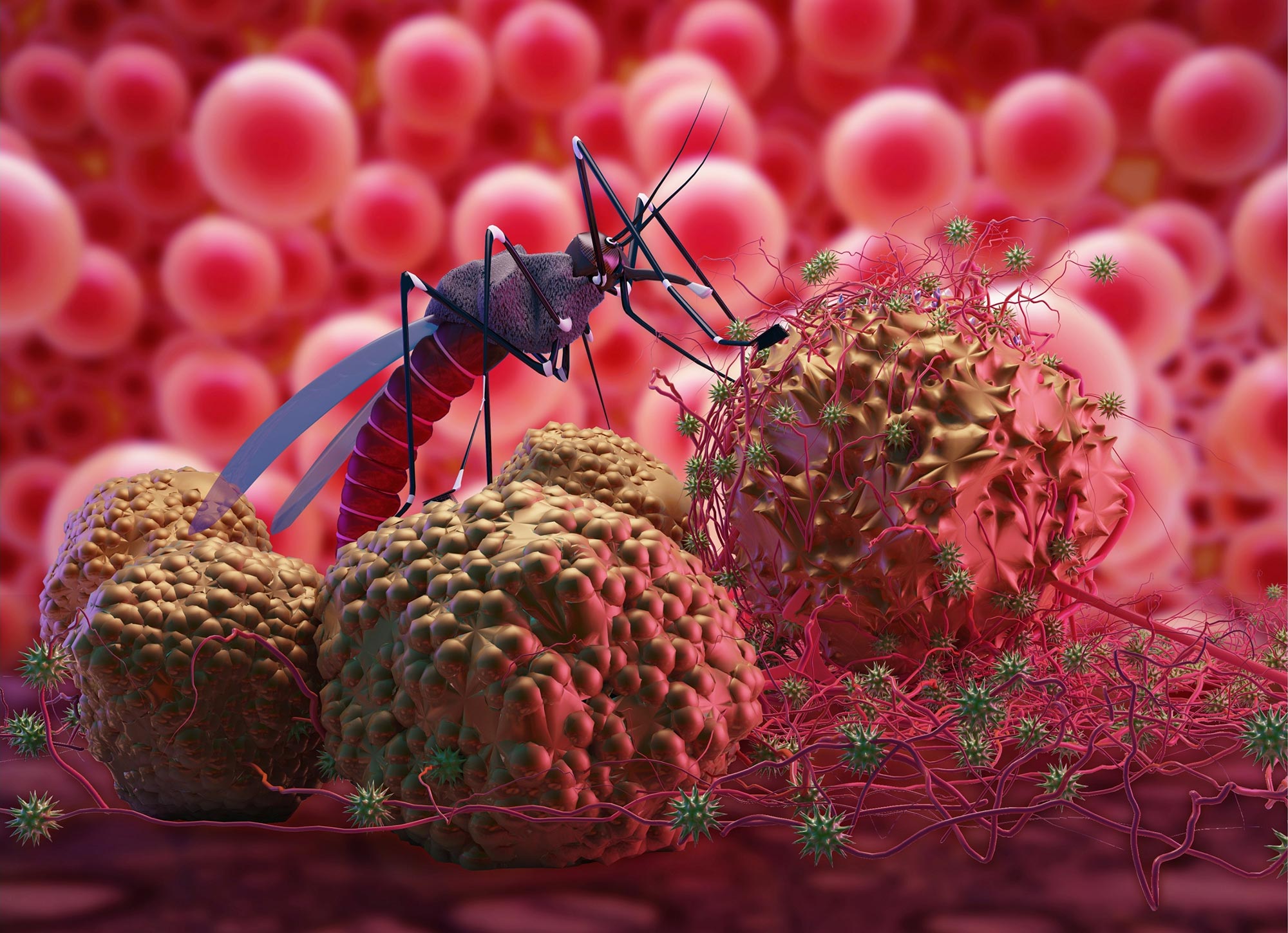 Zika-Malaria-Mosquito-Virus-Concept.jpg