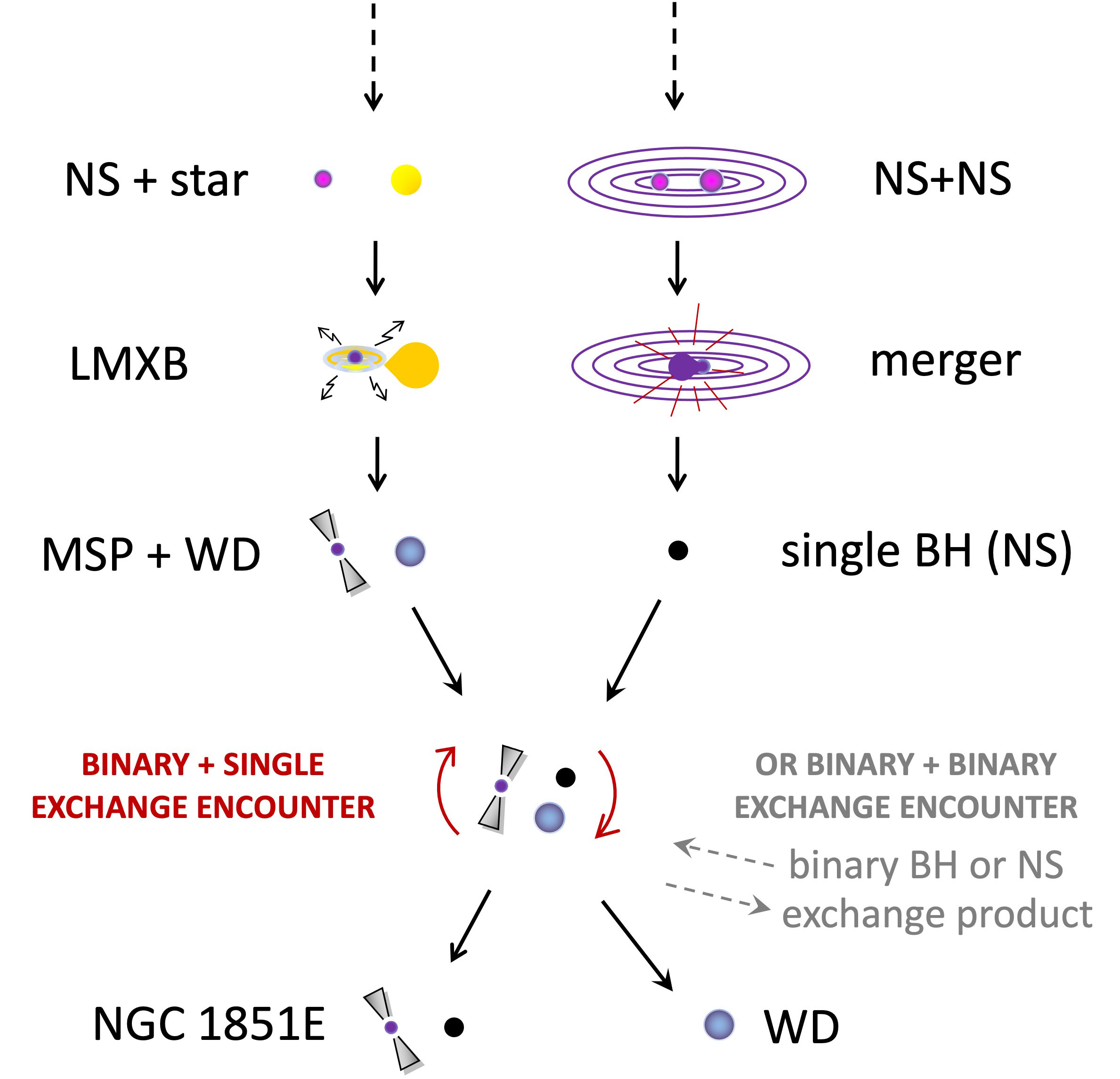 Radio-Pulsar-NGC-1851E-and-Exotic-Companion-Star-Formation-History.jpg