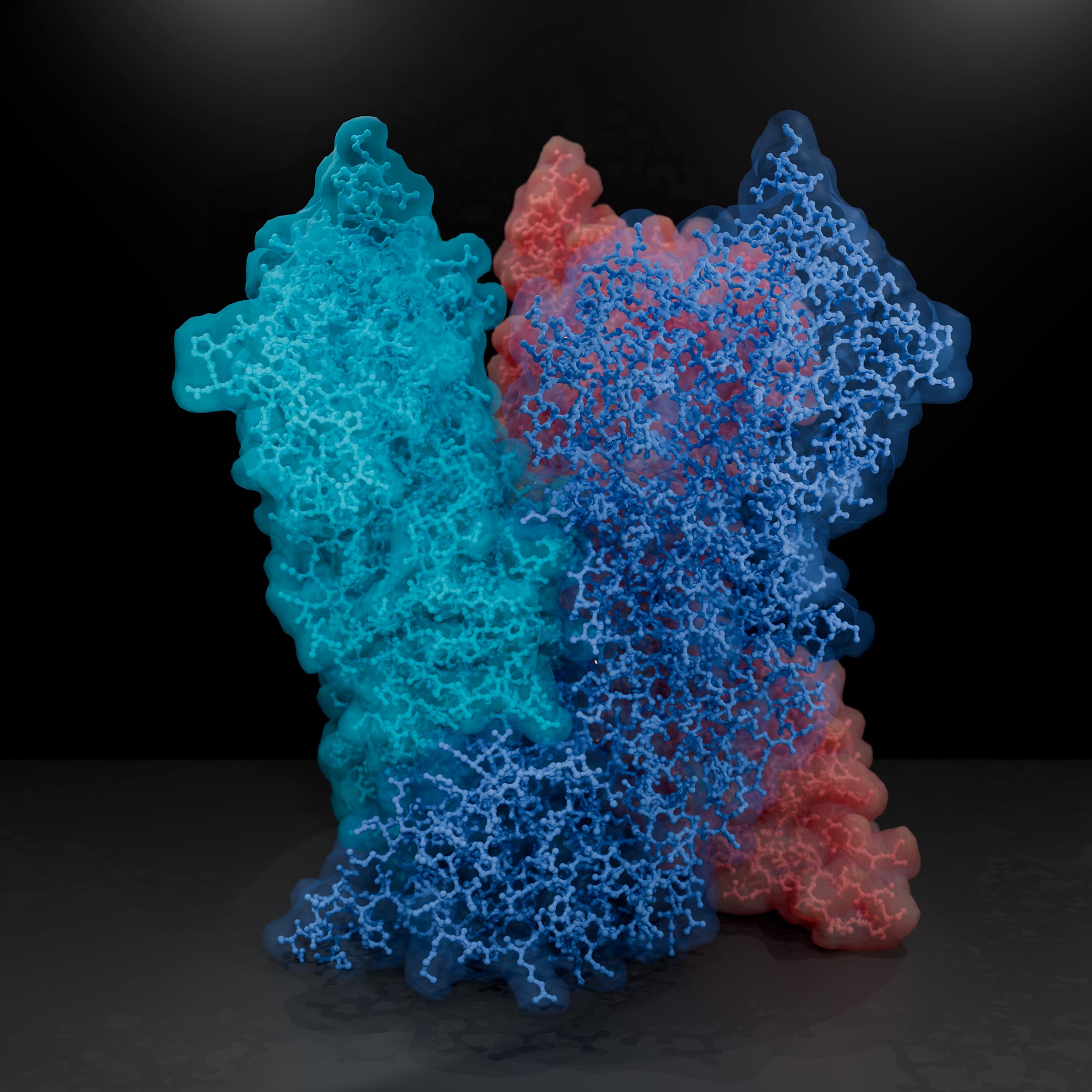 Poxviral-Core-Protein-A10-Structure.jpg