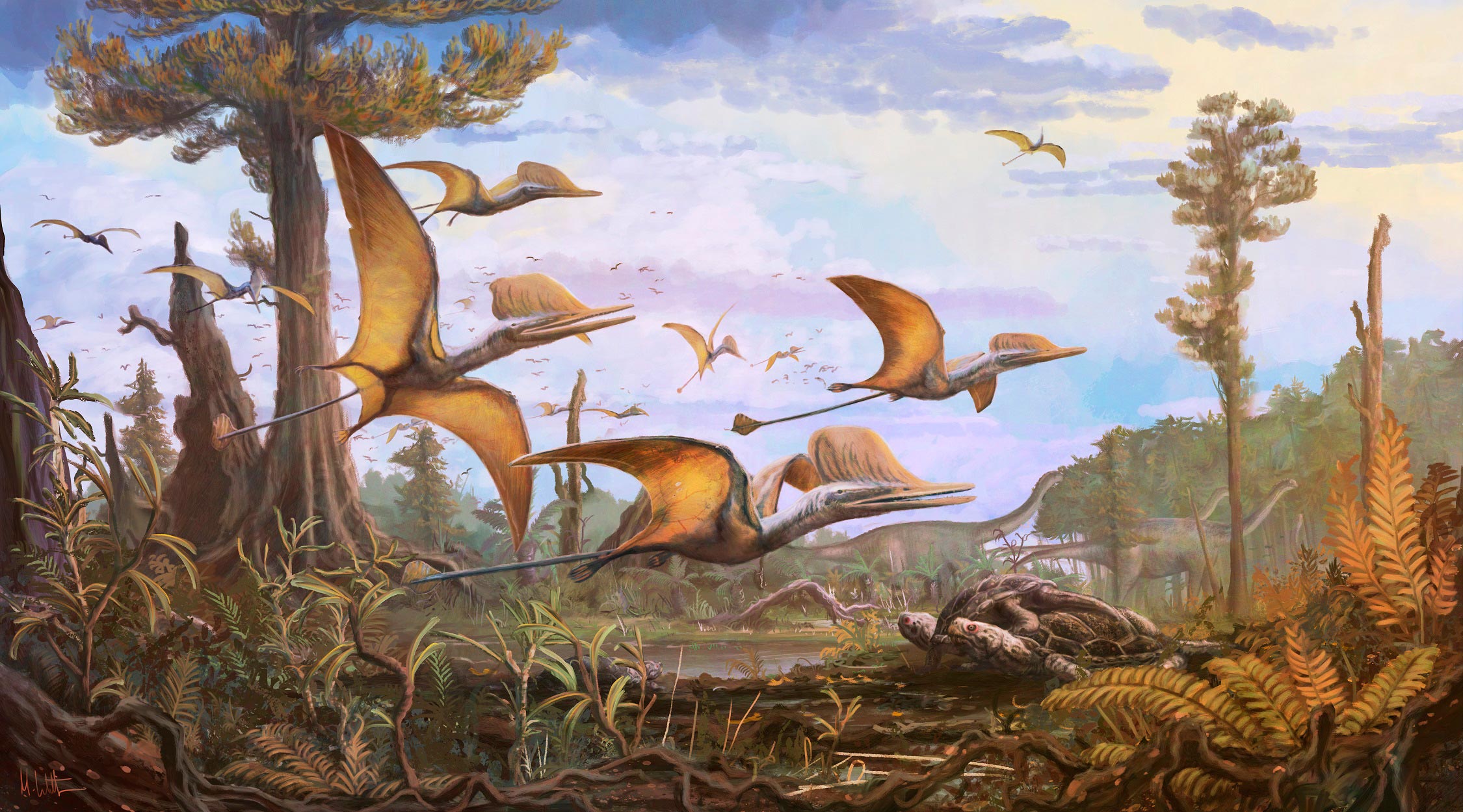 Ceoptera-evansae-Reconstruction.jpg