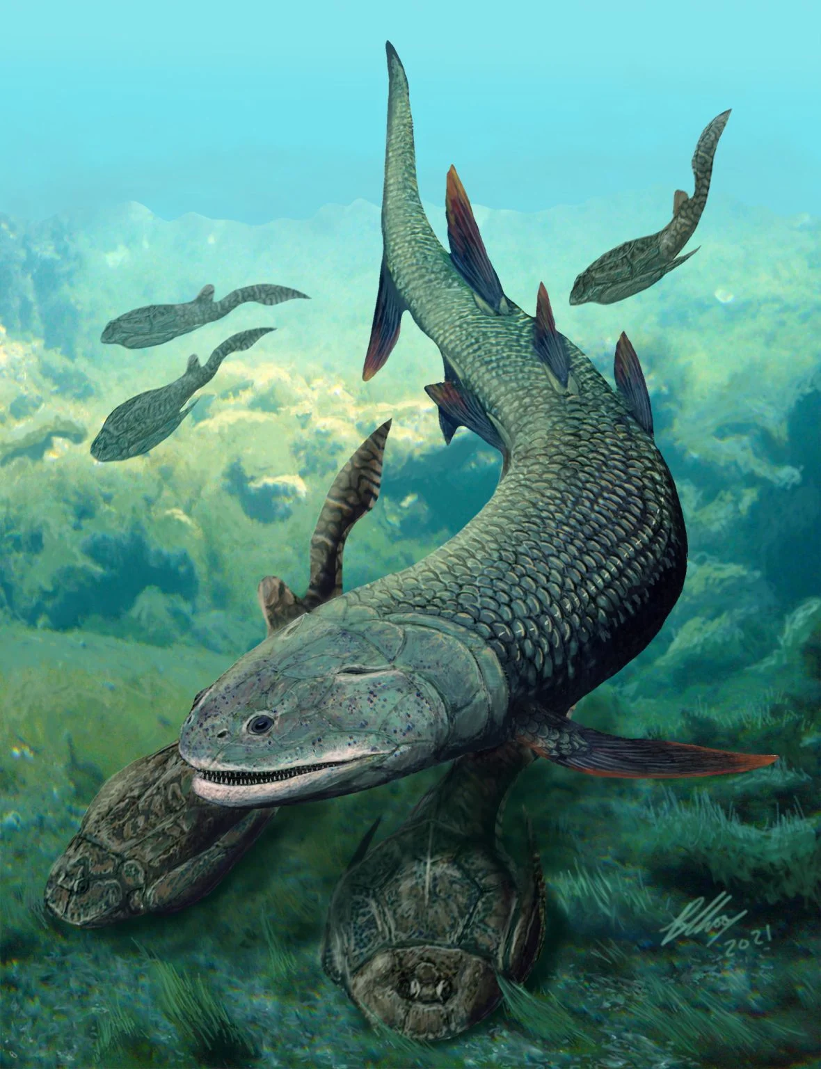 Harajicadectes-zhumini-1180x1536.webp