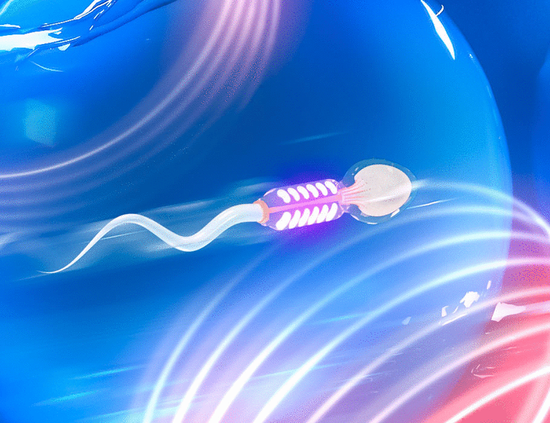 sciadv.adk2864-keyimage.gif