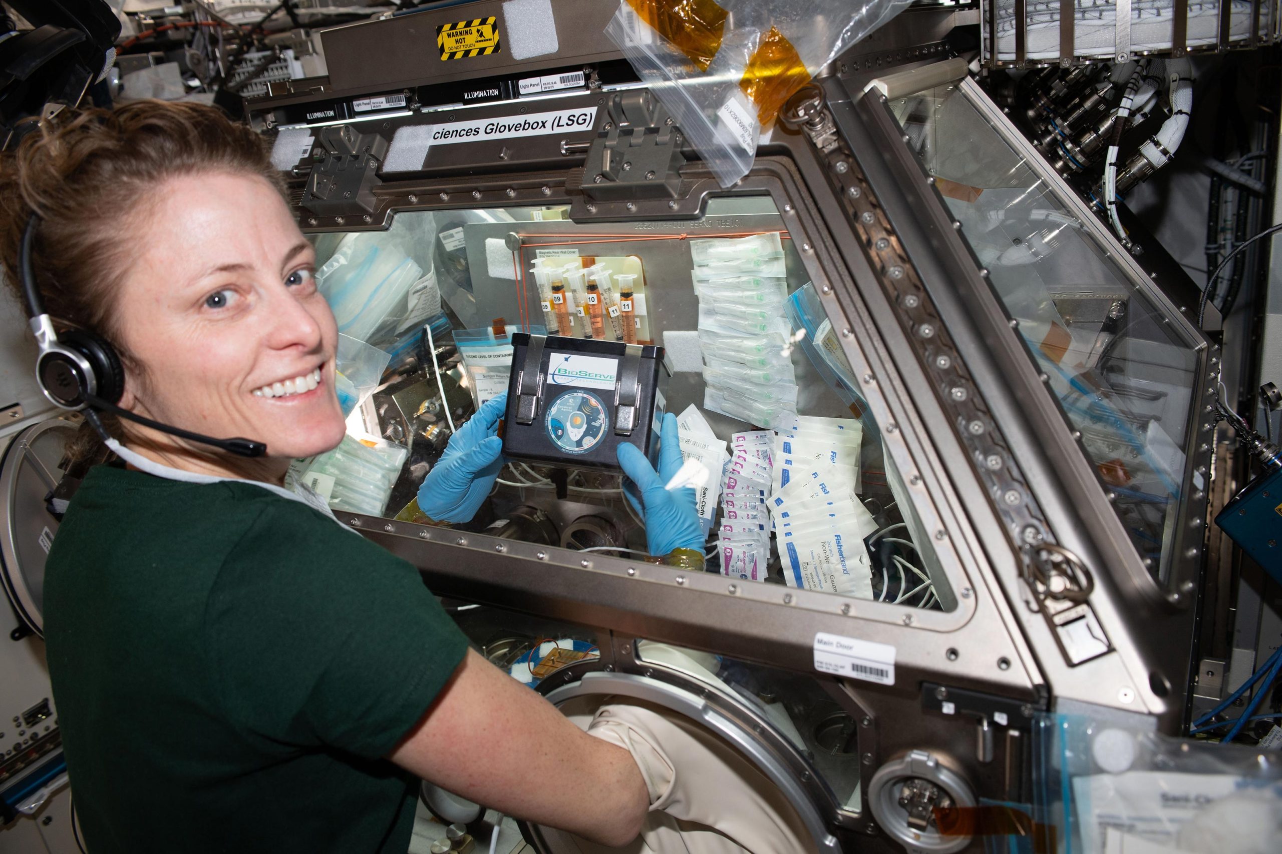 NASA-Astronaut-Loral-OHara-Treats-Brain-Cell-Like-Samples-scaled.jpg