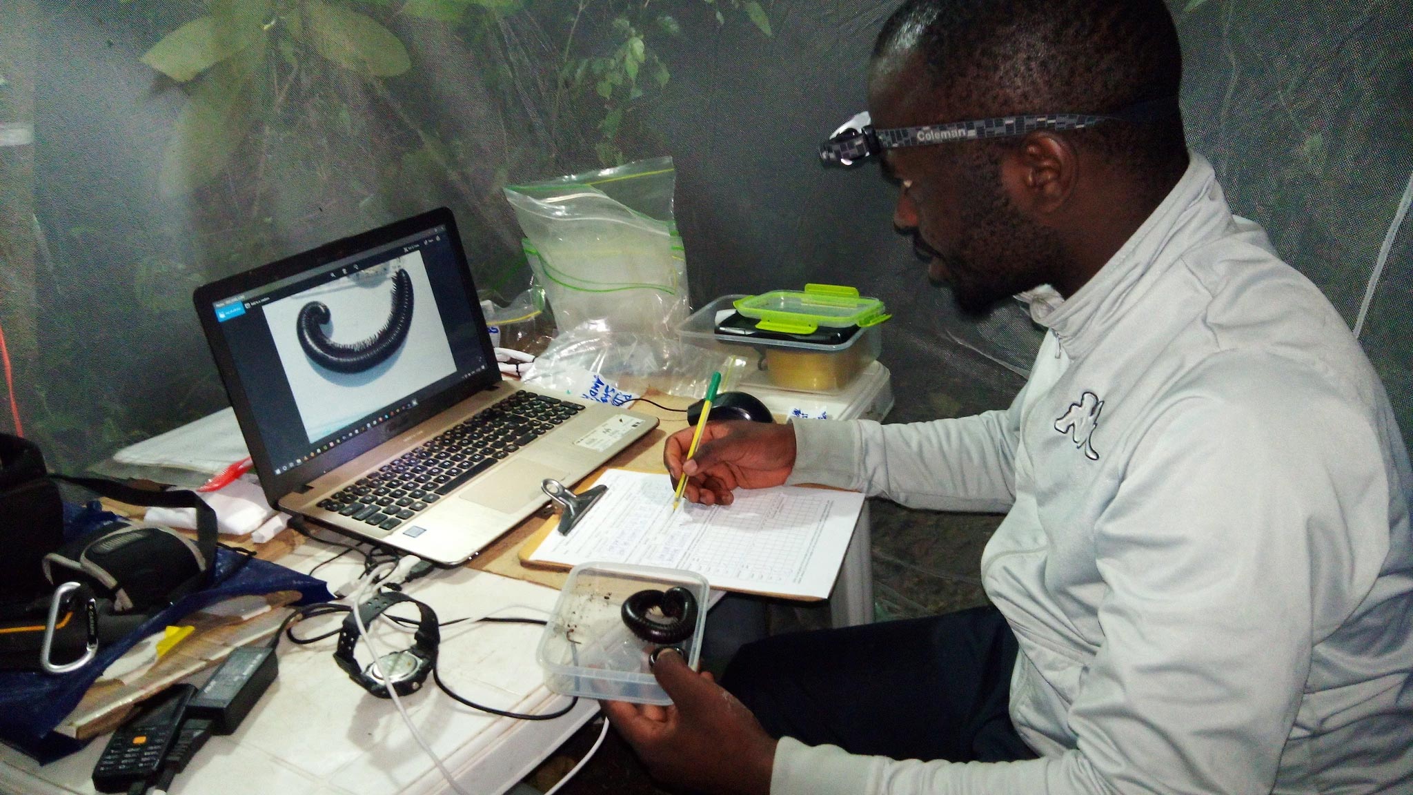 Alain-Ngute.jpg