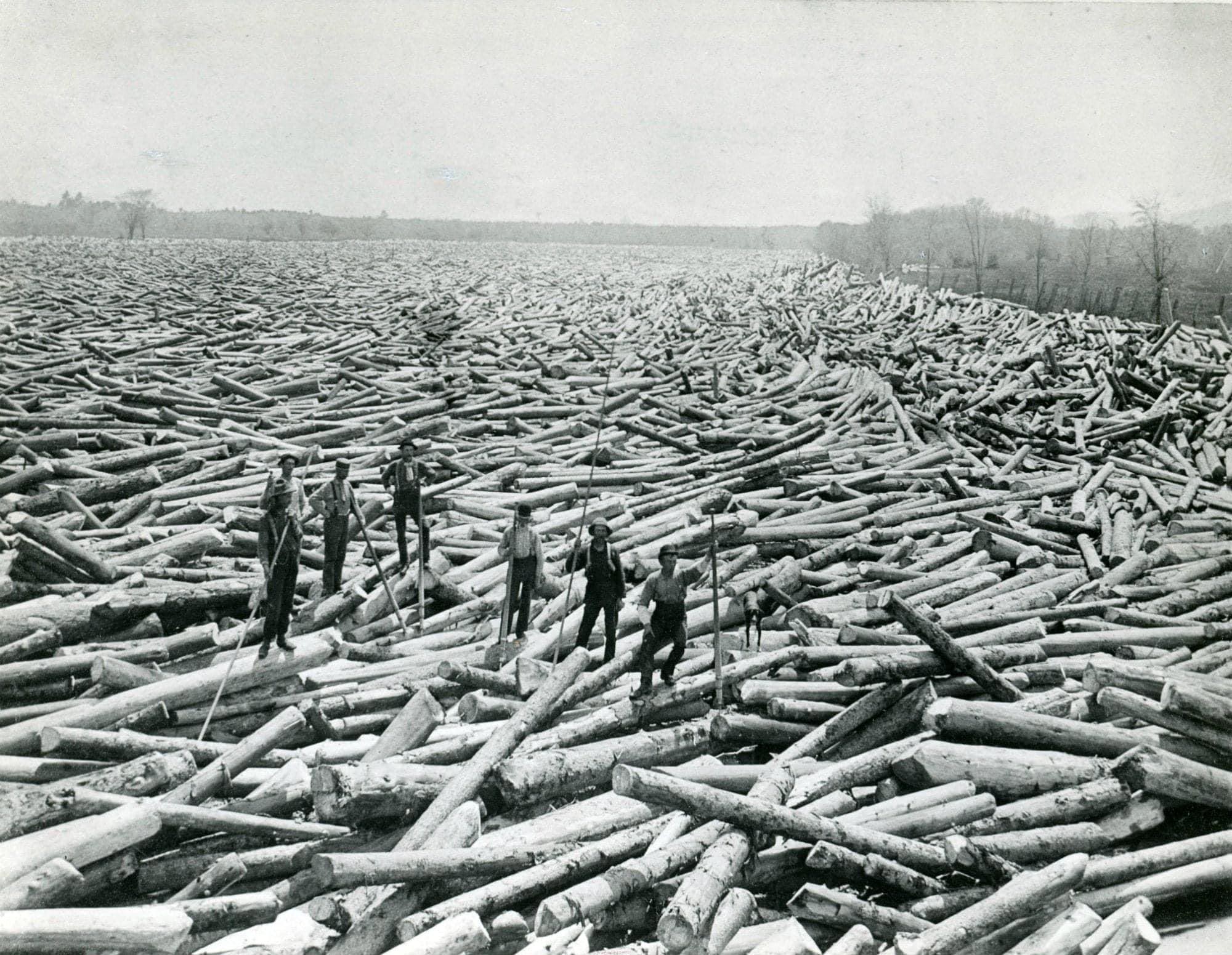 Hudson-Valley-Loggers.jpg