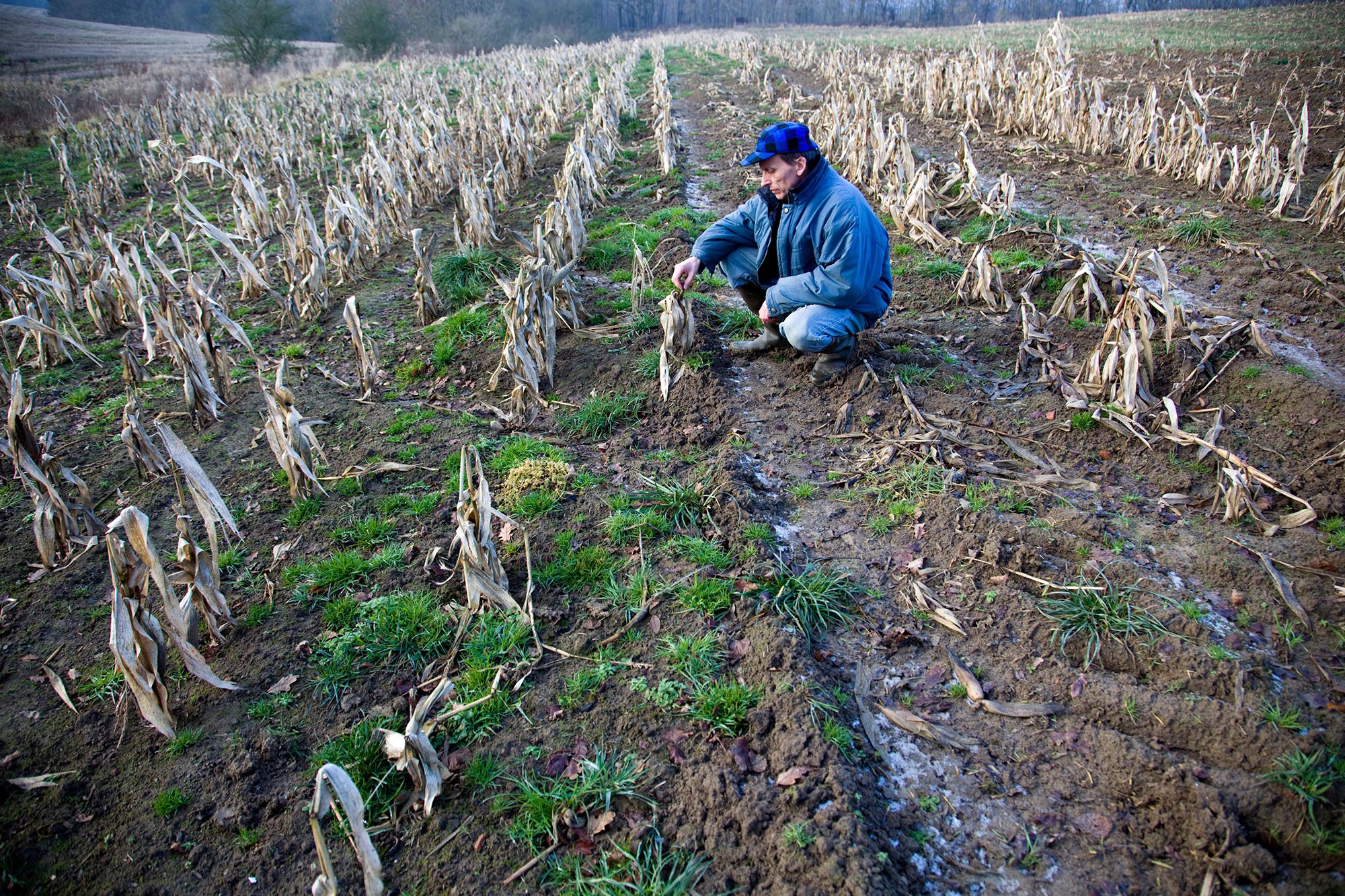 Agriculture-Failed-Crop.jpg