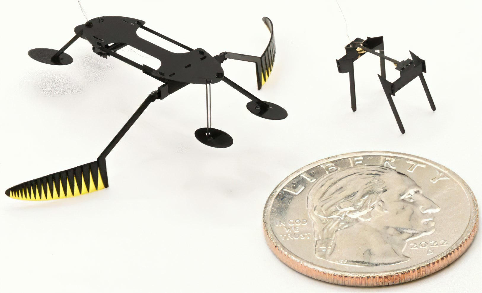 Water-Skimmer-Robot-Size-Comparison.jpg