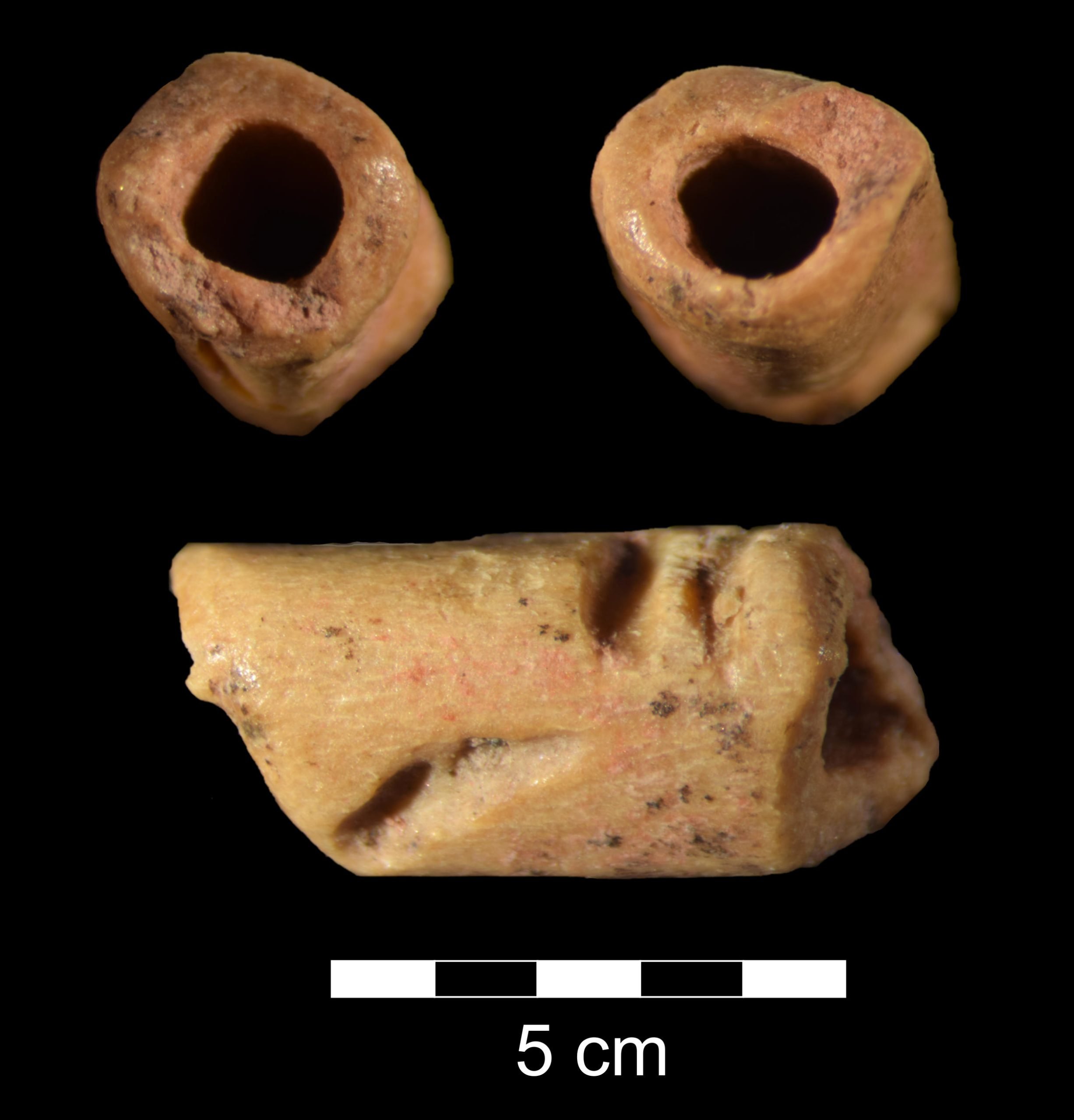 Hare-Bone-Bead-scaled.jpg