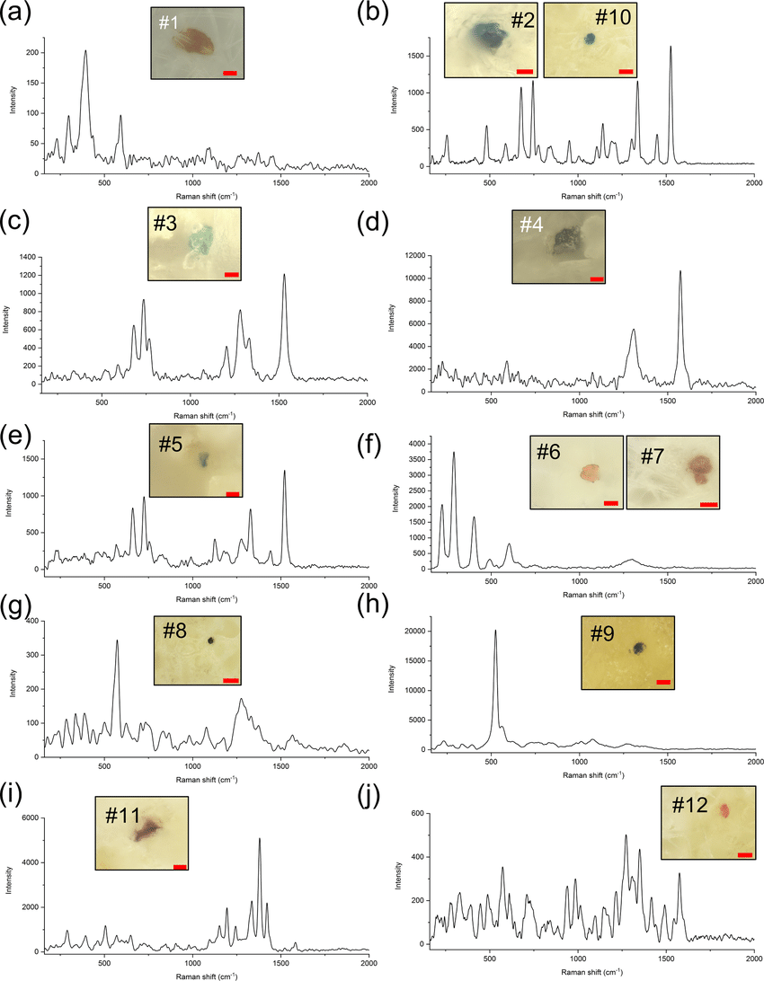 Microphotographs-and-Raman-spectra-of-the-microplastics-found-in-human-placenta-a.png