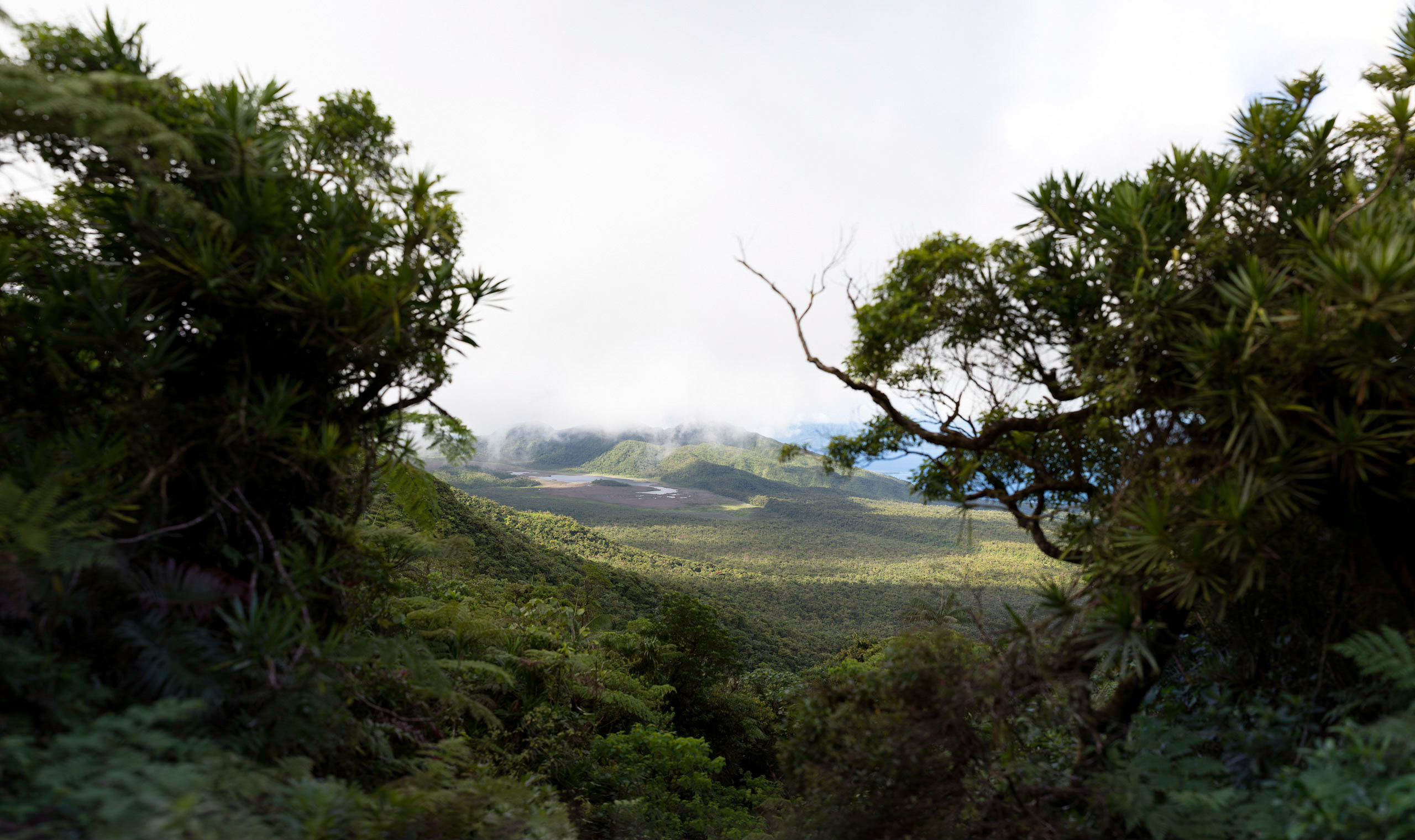 Fiji-Highlands.jpg